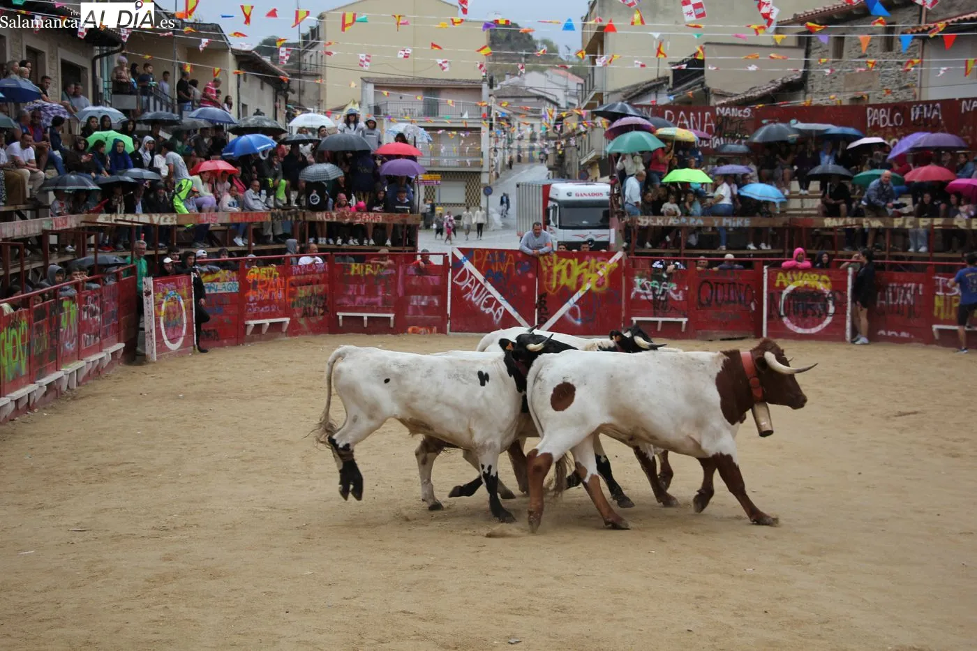 Encierro de Valdeflores en Vilvestre