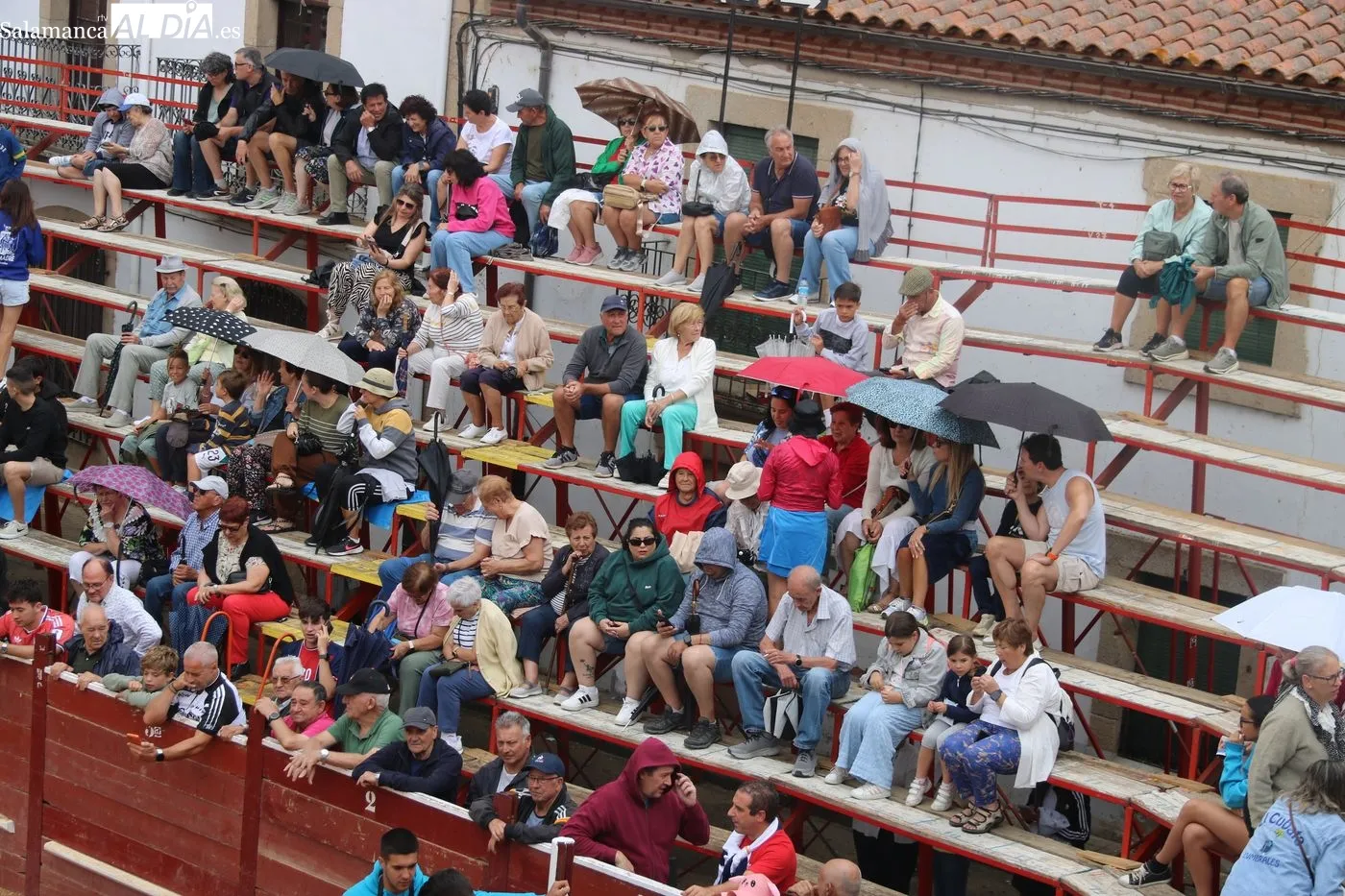 Encierro de Miranda de Pericalvo en Lumbrales, tercero de las fiestas / LORENA ARIAS