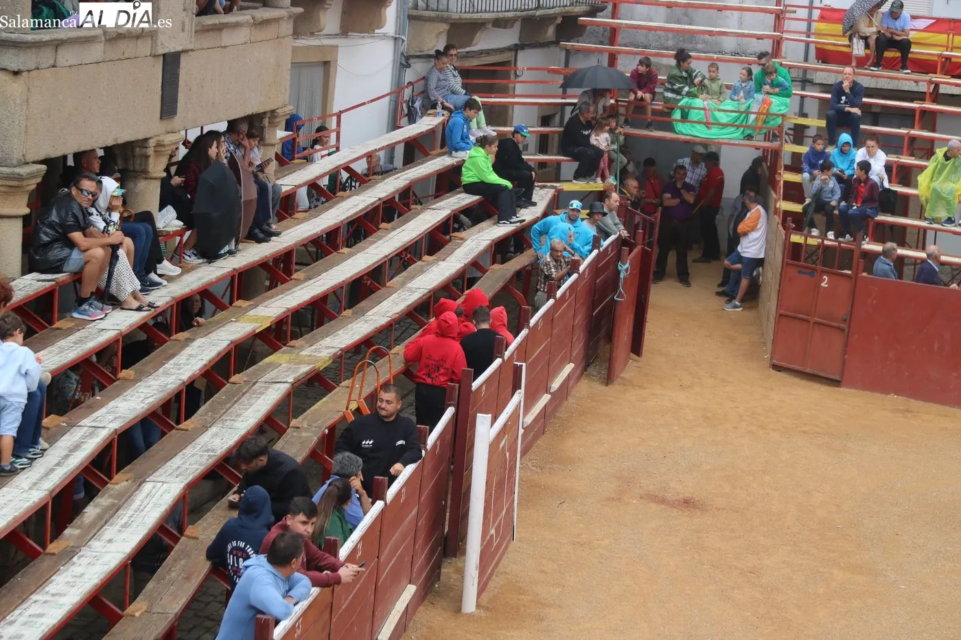 Encierro de Miranda de Pericalvo en Lumbrales, tercero de las fiestas / LORENA ARIAS