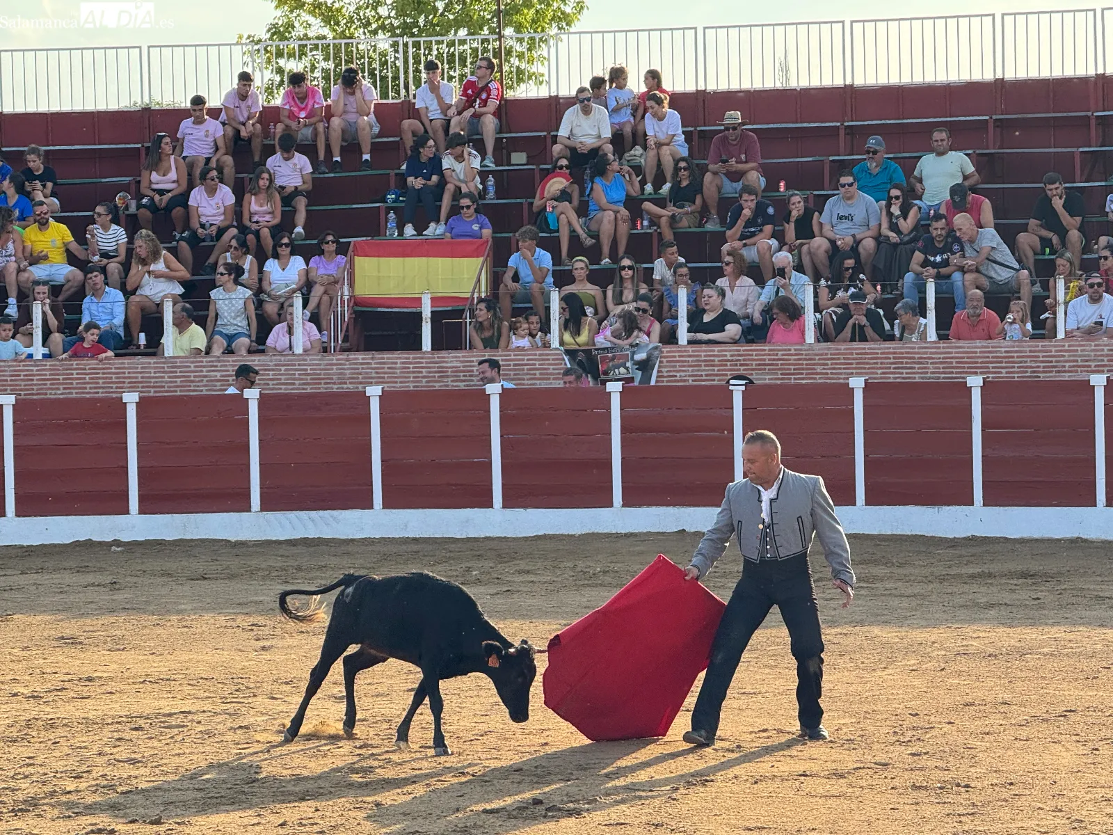 Foto 10 - Cantalpino disfruta de una jornada taurina con exhibici&oacute;n de aficionados pr&aacute;cticos y capea popular por San Roque