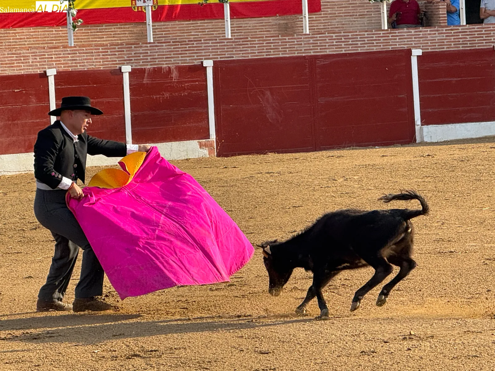 Foto 8 - Cantalpino disfruta de una jornada taurina con exhibici&oacute;n de aficionados pr&aacute;cticos y capea popular por San Roque