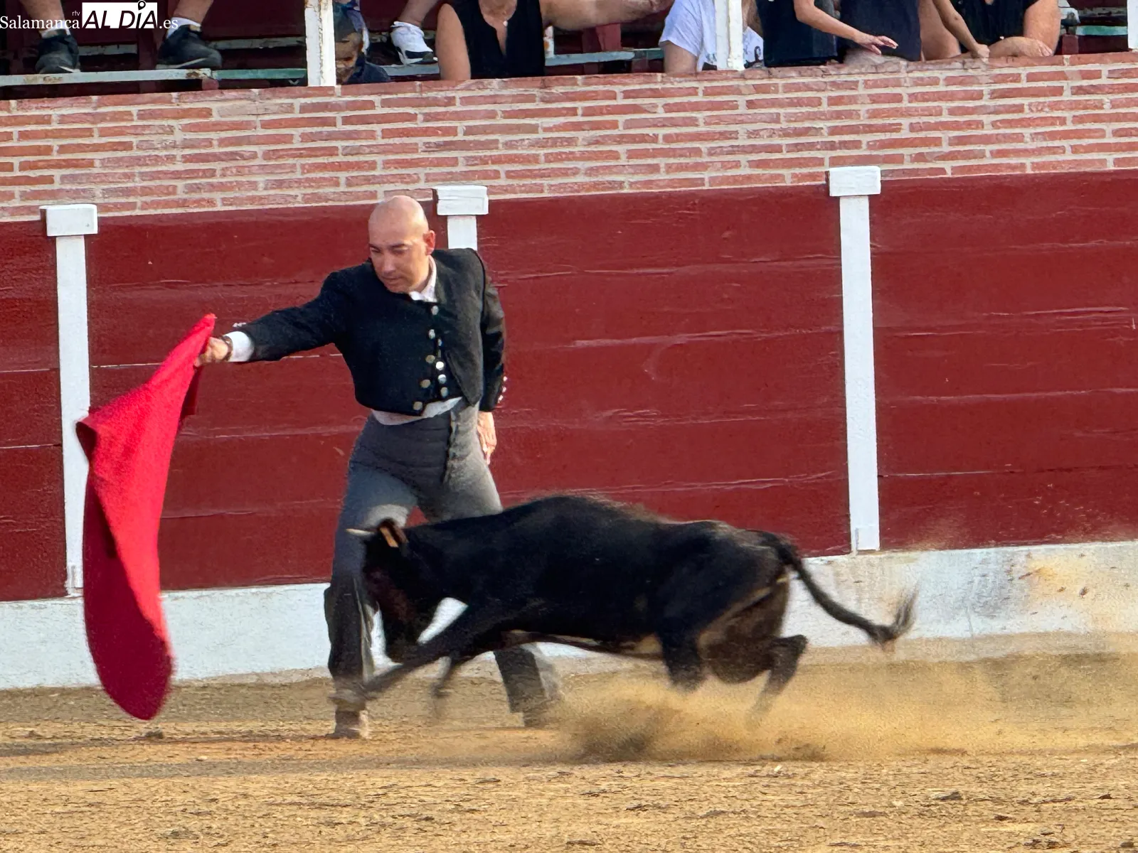 Foto 3 - Cantalpino disfruta de una jornada taurina con exhibici&oacute;n de aficionados pr&aacute;cticos y capea popular por San Roque