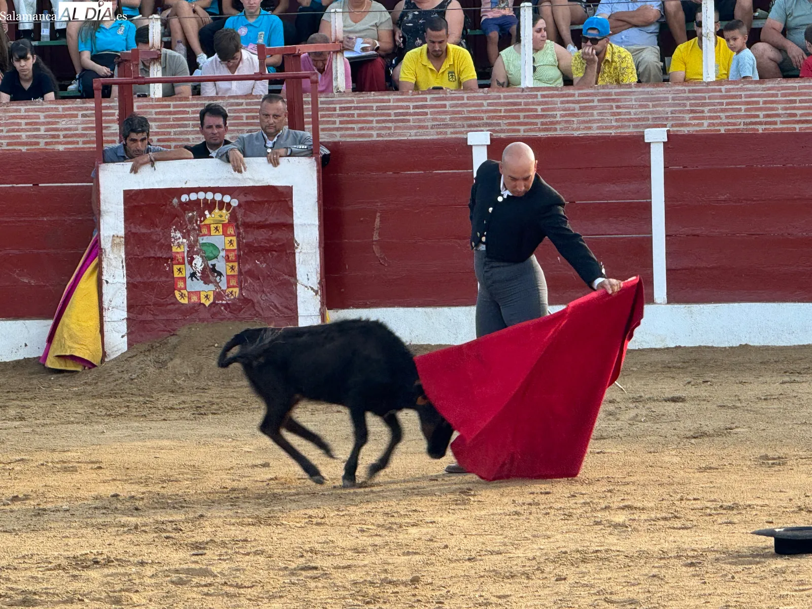 Foto 4 - Cantalpino disfruta de una jornada taurina con exhibici&oacute;n de aficionados pr&aacute;cticos y capea popular por San Roque