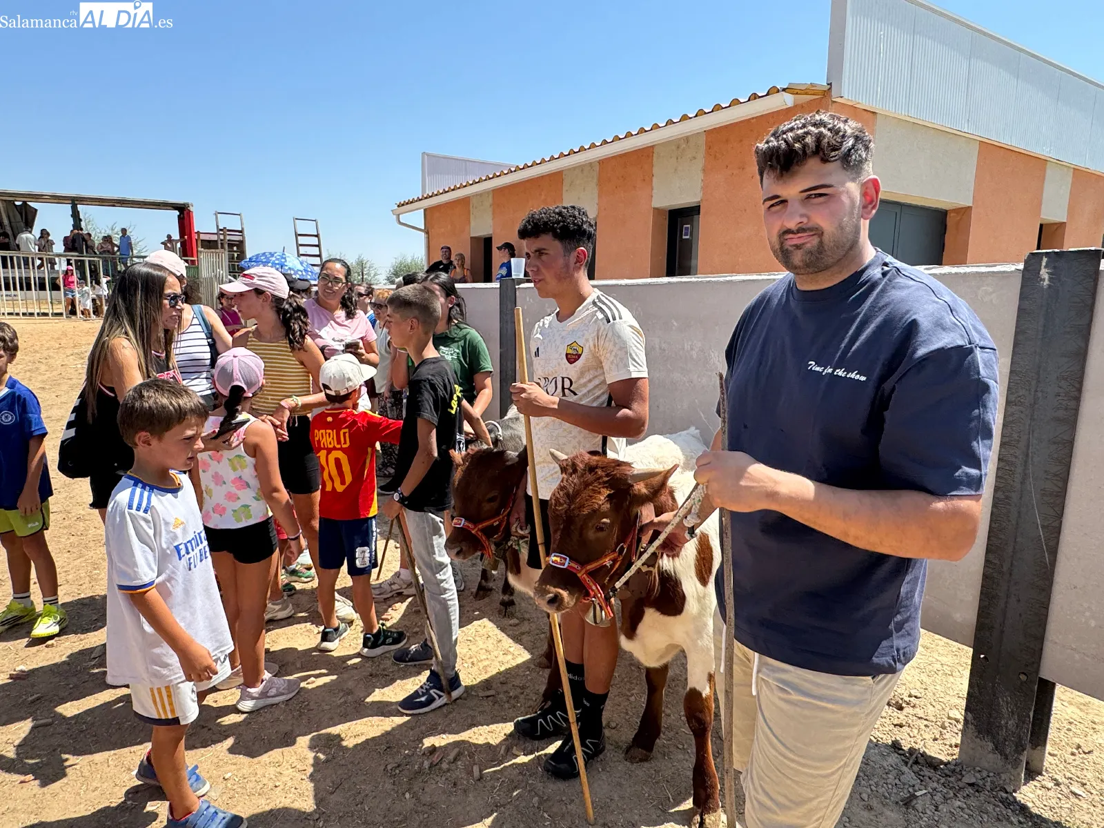 Foto 8 - Grandes y peque&ntilde;os disfrutan con los mini bueyes en la recta final de las fiestas de Babilafuente