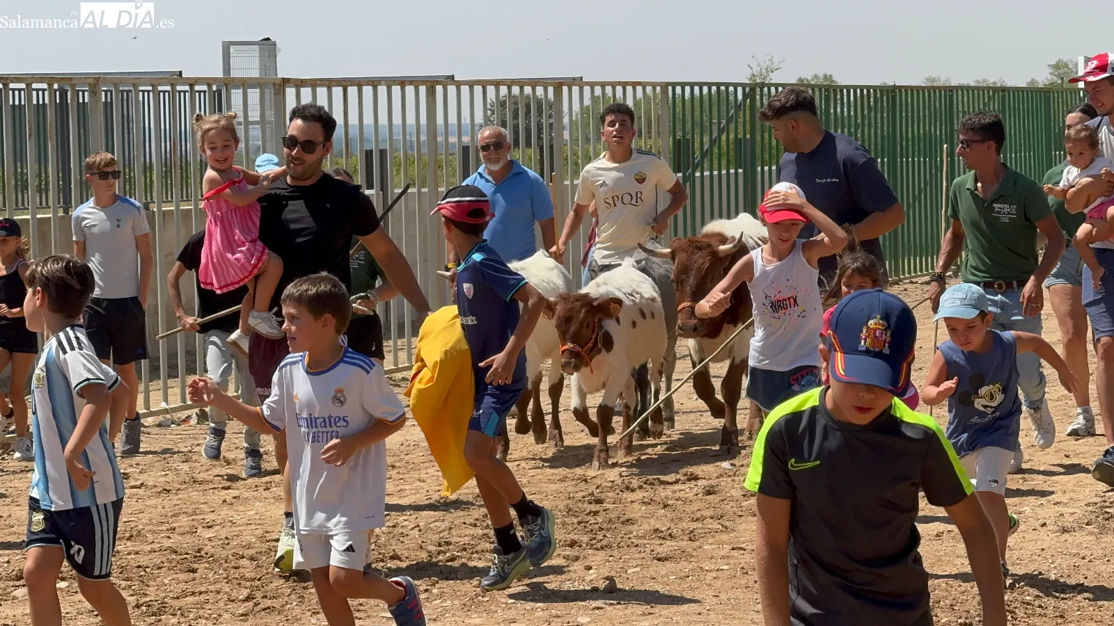Foto 6 - Grandes y peque&ntilde;os disfrutan con los mini bueyes en la recta final de las fiestas de Babilafuente