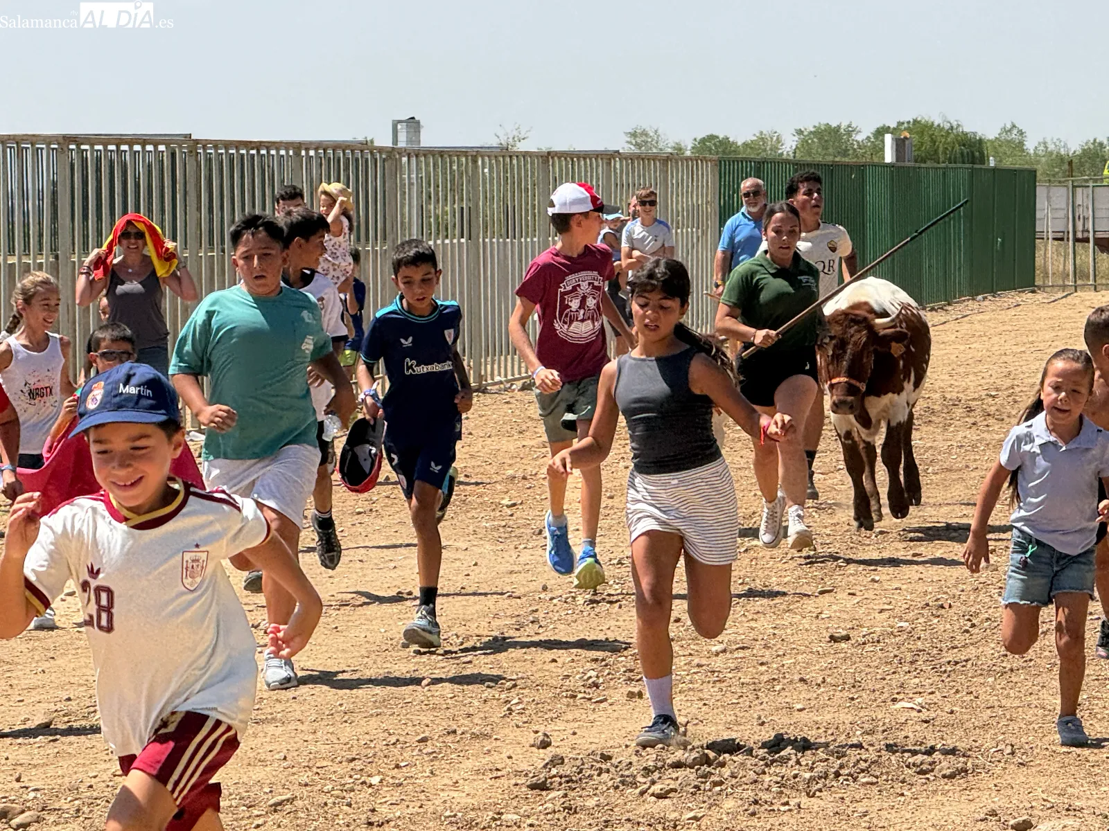Foto 4 - Grandes y peque&ntilde;os disfrutan con los mini bueyes en la recta final de las fiestas de Babilafuente