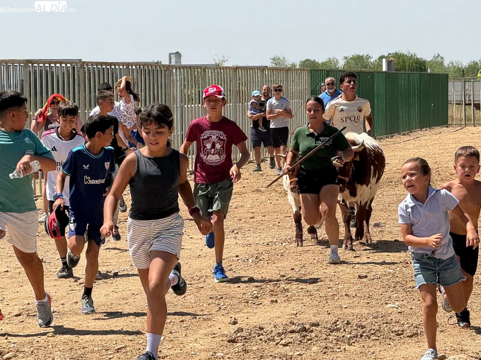 Foto 3 - Grandes y peque&ntilde;os disfrutan con los mini bueyes en la recta final de las fiestas de Babilafuente
