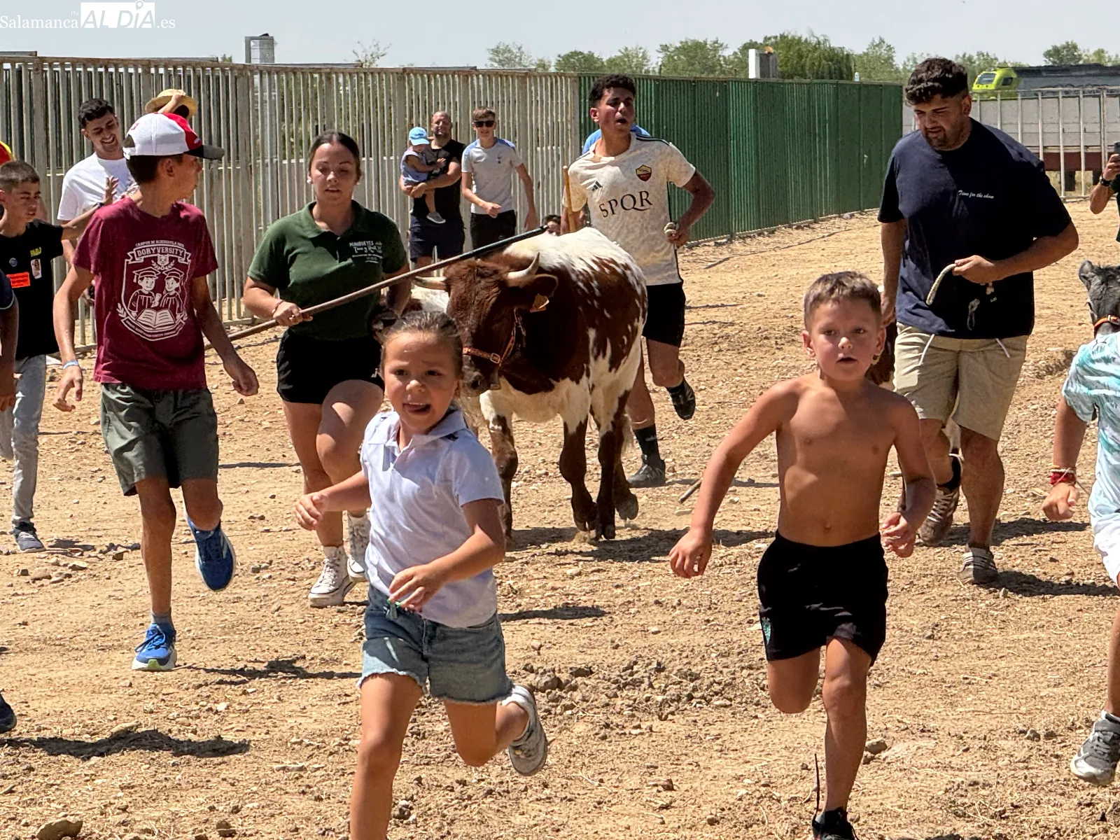 Foto 2 - Grandes y peque&ntilde;os disfrutan con los mini bueyes en la recta final de las fiestas de Babilafuente