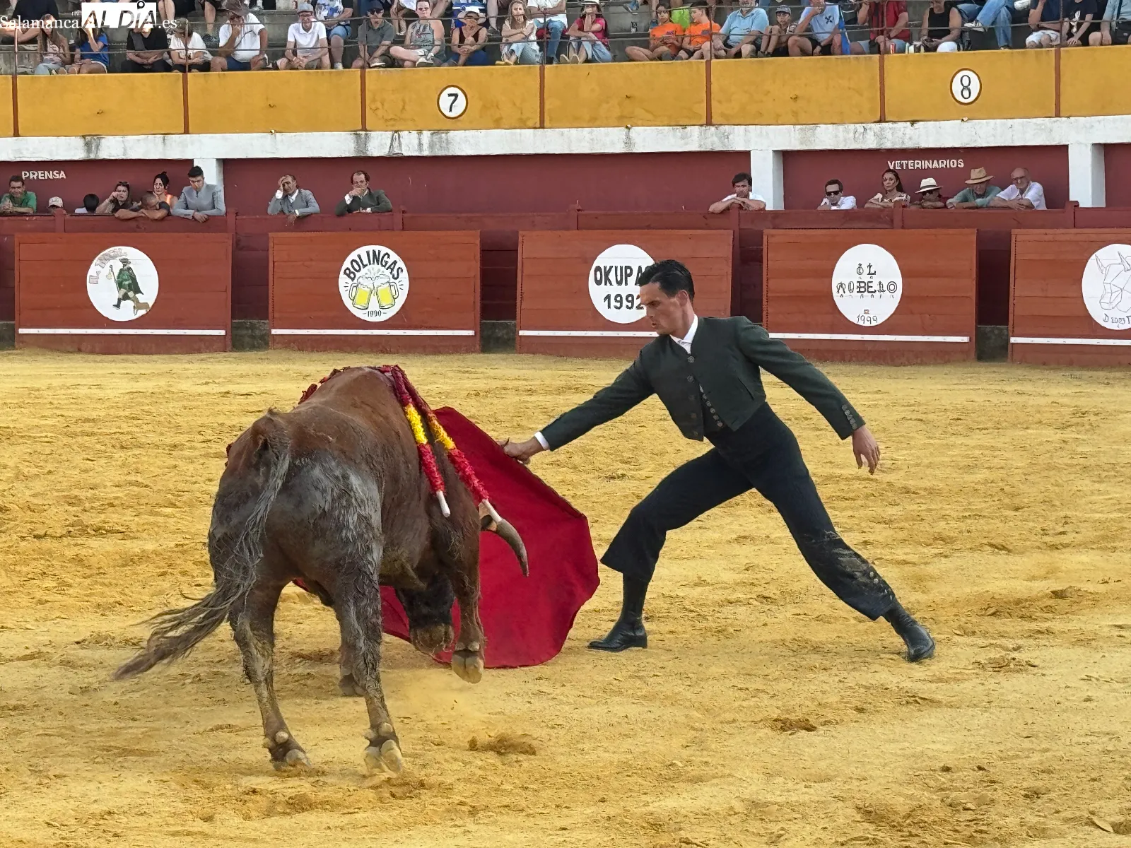 Foto 10 - La tradici&oacute;n taurina vuelve a llenar de ambiente la plaza de toros de Macotera con un llamativo Festival Mixto