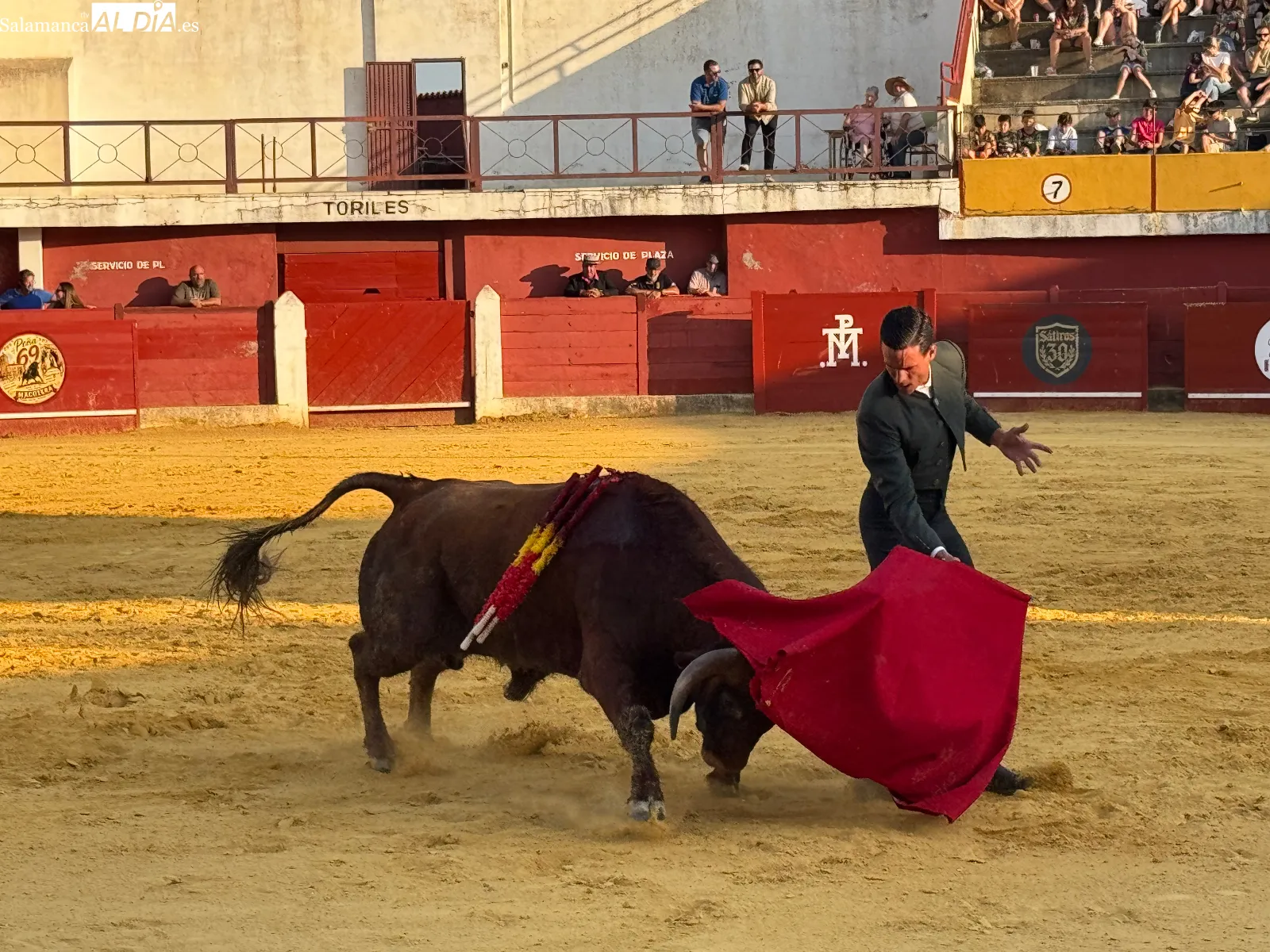 Foto 9 - La tradici&oacute;n taurina vuelve a llenar de ambiente la plaza de toros de Macotera con un llamativo Festival Mixto