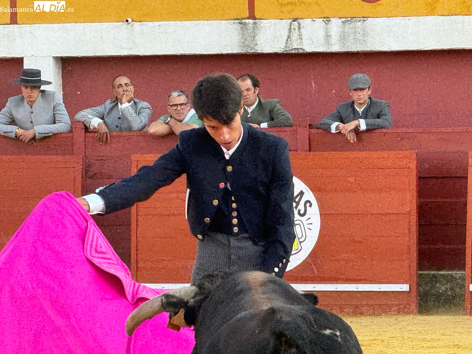 Foto 2 - La tradici&oacute;n taurina vuelve a llenar de ambiente la plaza de toros de Macotera con un llamativo Festival Mixto