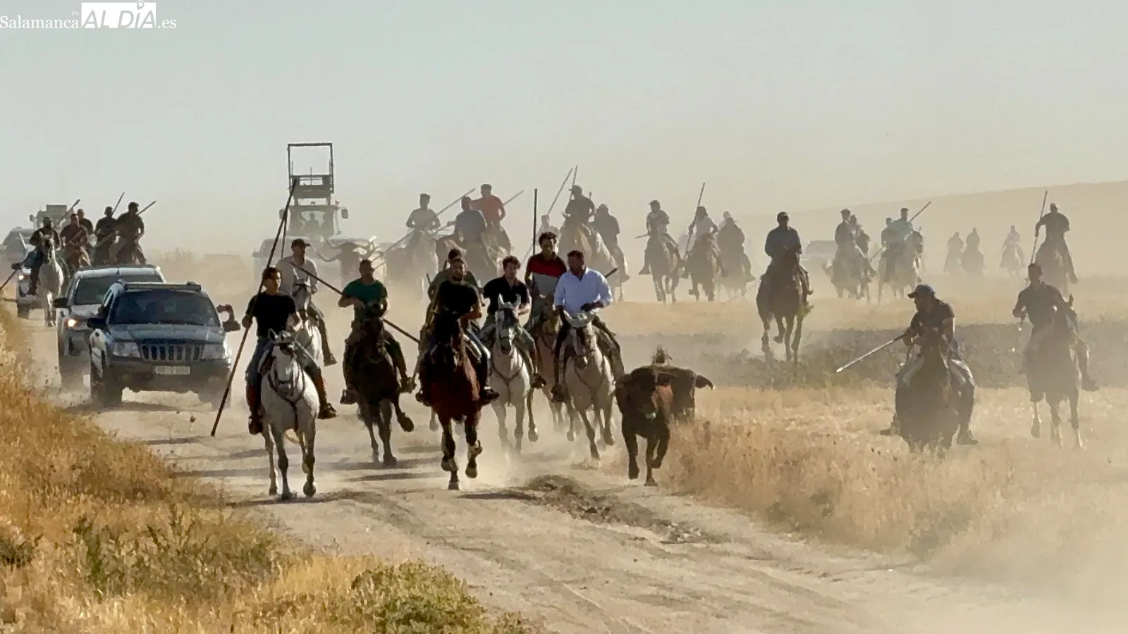 Foto 7 - Macotera despide sus festejos taurinos de calle con un multitudinario encierro a caballo