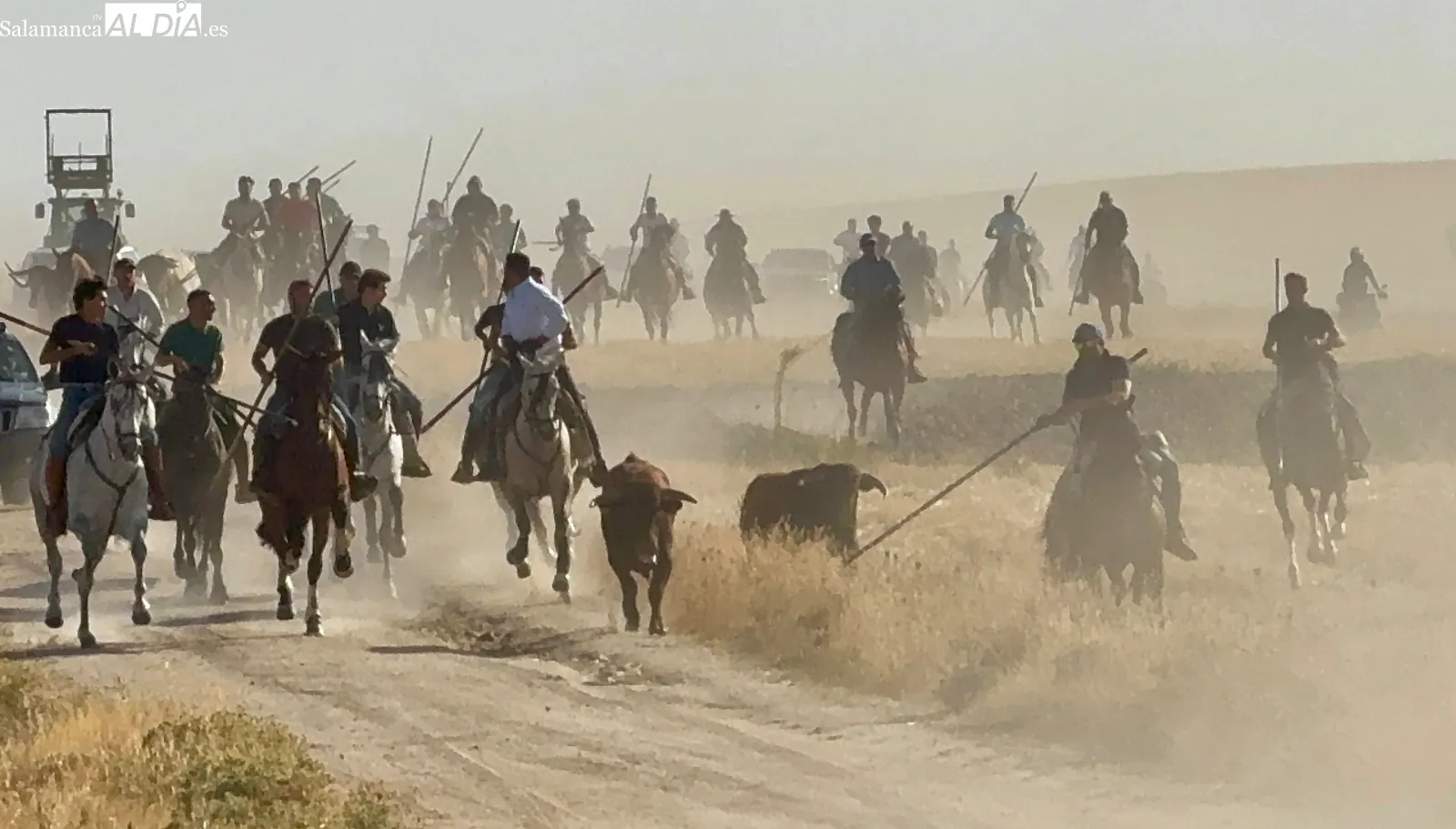 Foto 8 - Macotera despide sus festejos taurinos de calle con un multitudinario encierro a caballo