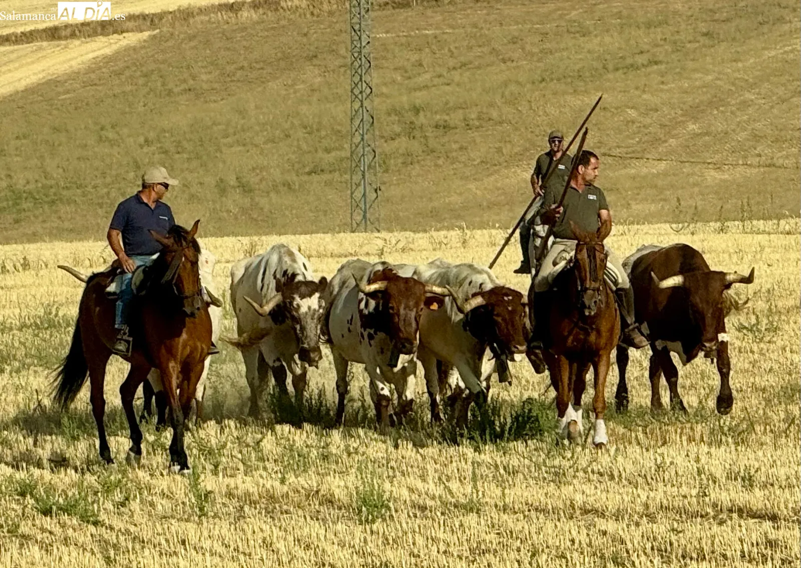 Foto 10 - Macotera despide sus festejos taurinos de calle con un multitudinario encierro a caballo