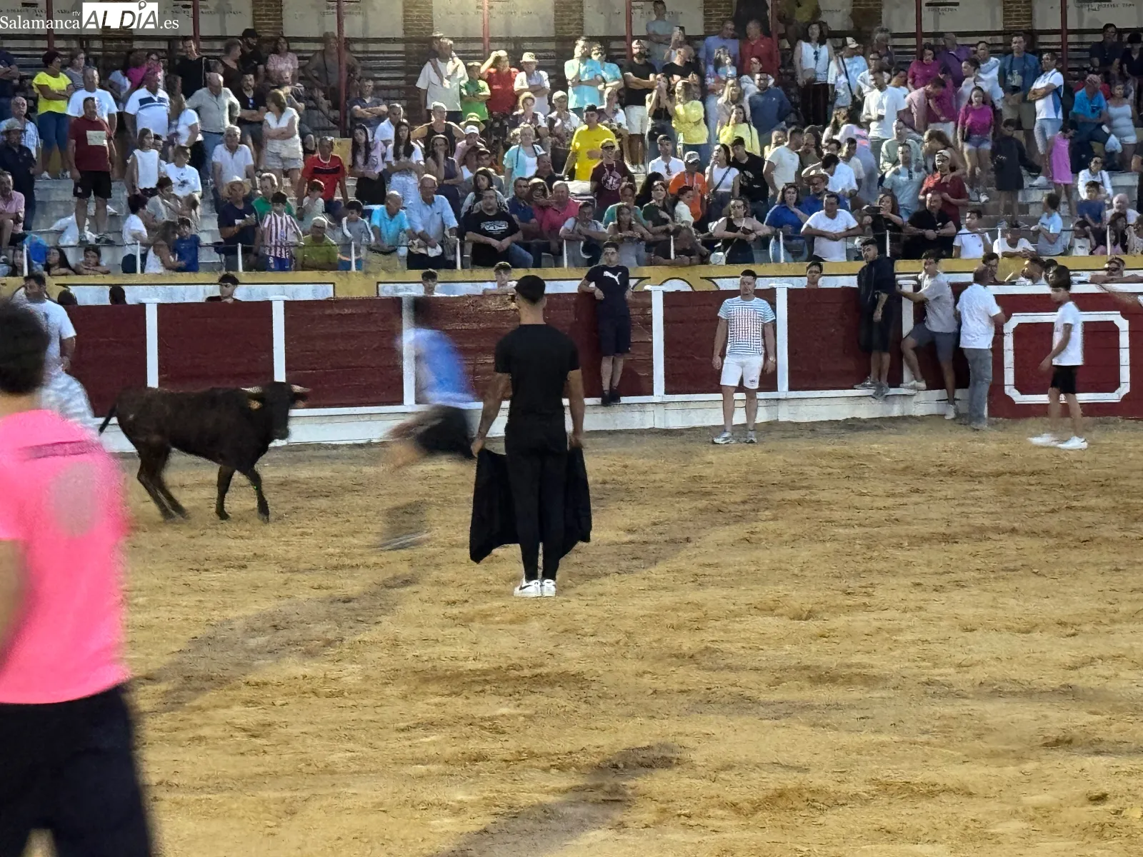 Foto 4 - El Concurso de Cortes y las vaquillas se convierten en una multitudinaria bienvenida a los festejos taurinos de las Ferias y Fiestas