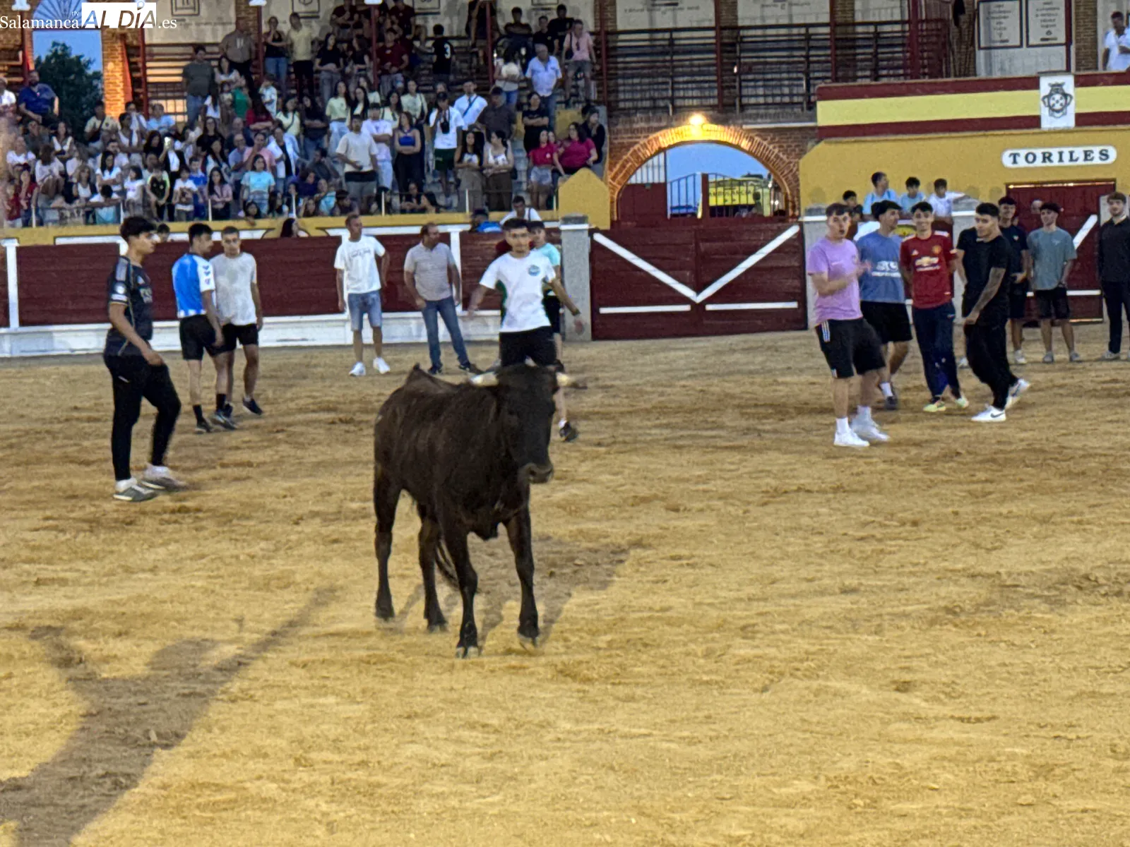 Foto 3 - El Concurso de Cortes y las vaquillas se convierten en una multitudinaria bienvenida a los festejos taurinos de las Ferias y Fiestas