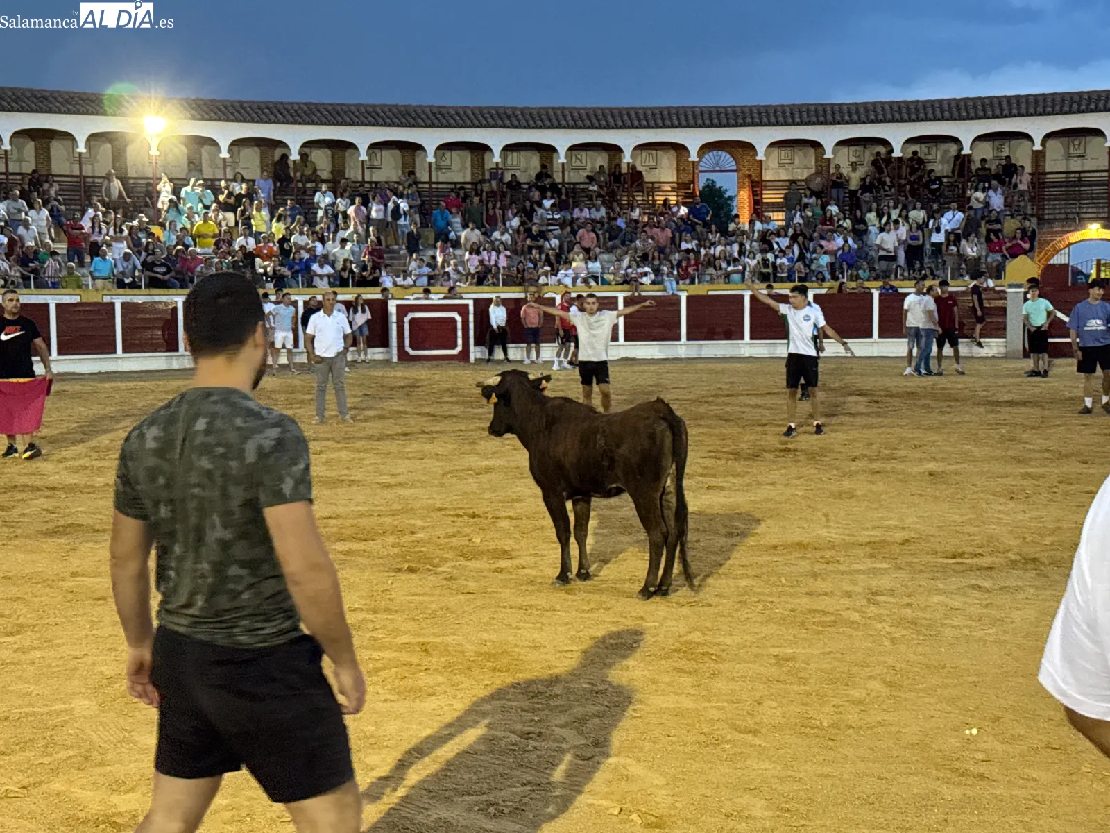 Foto 2 - El Concurso de Cortes y las vaquillas se convierten en una multitudinaria bienvenida a los festejos taurinos de las Ferias y Fiestas