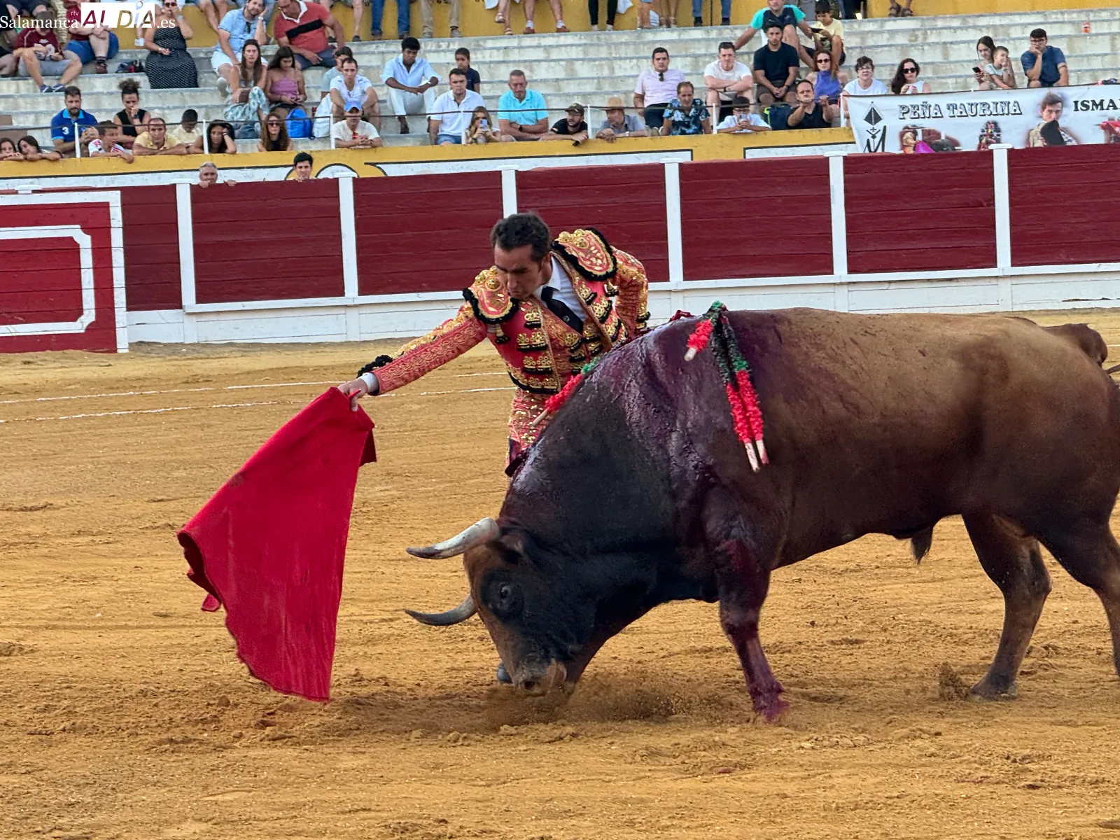 Foto 7 - El Fandi e Ismael Mart&iacute;n, a hombros en La Florida en la corrida mixta de Pe&ntilde;aranda