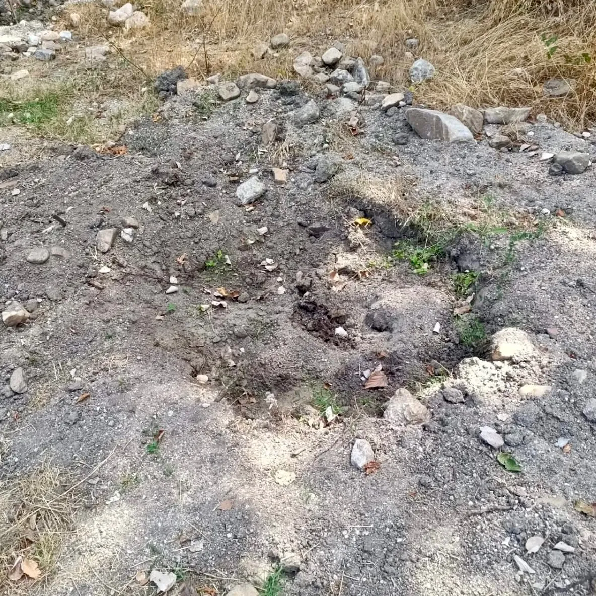 Foto 4 - Desaparecen los cinco &aacute;rboles plantados por familias y ni&ntilde;os en Santiago de la Puebla: &ldquo;da mucha pena&rdquo;