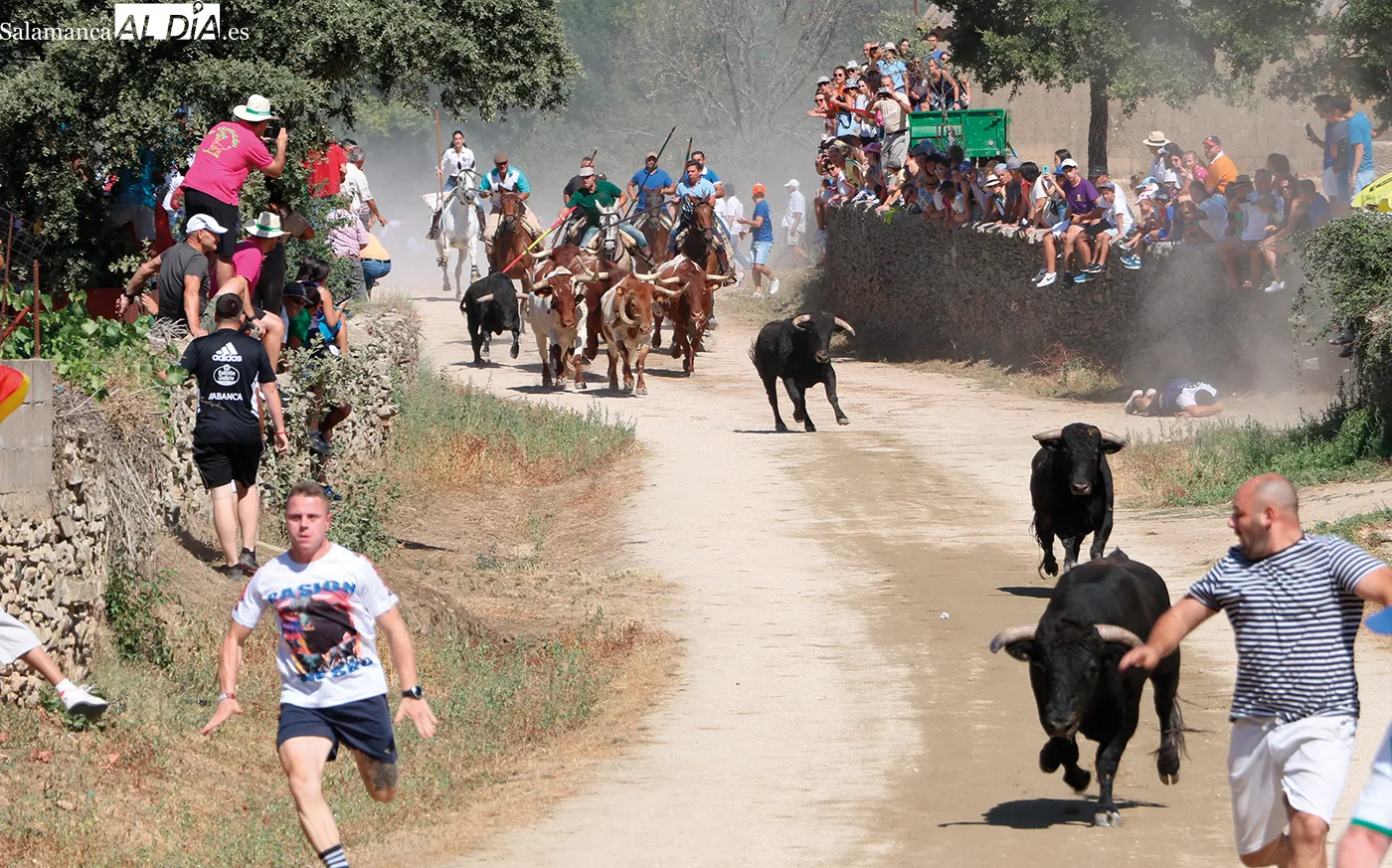 Programa de fiestas de Lumbrales 2026