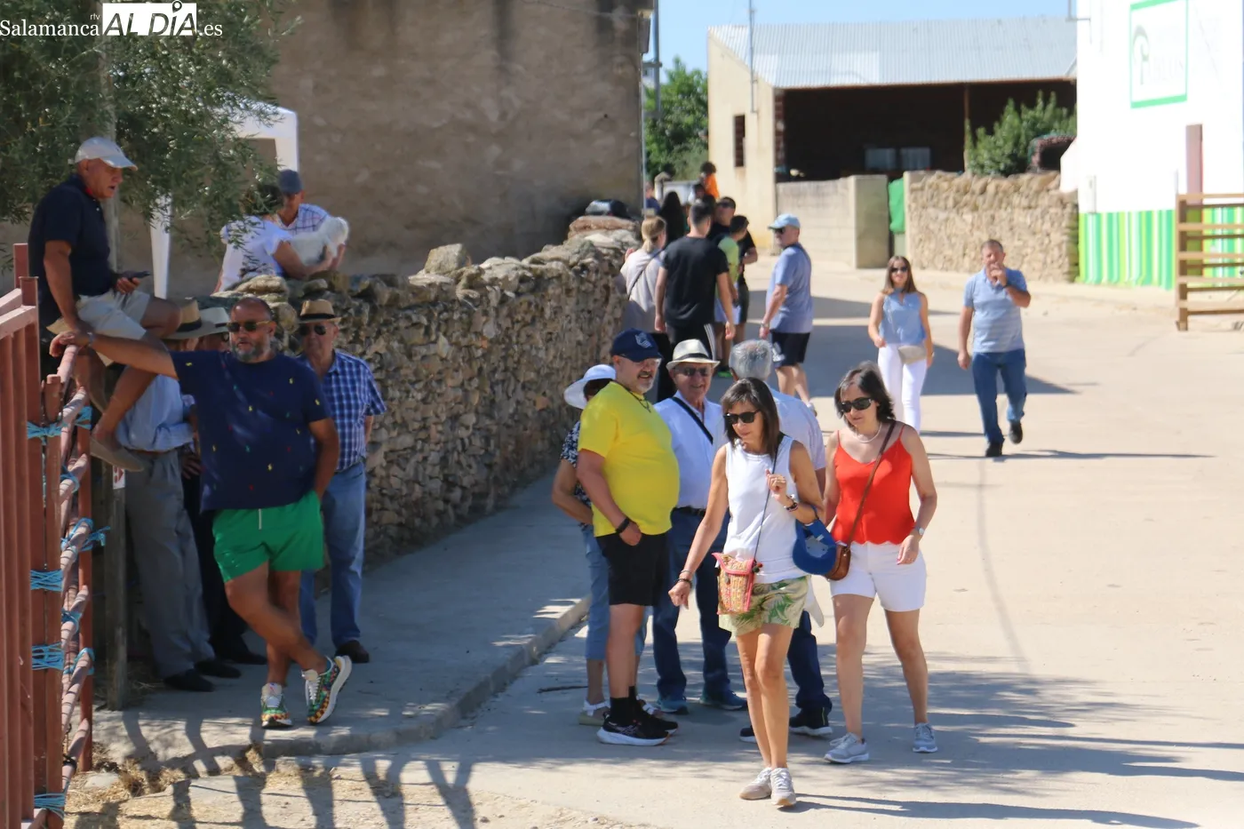 Multitudinario primer encierro de las fiestas de Lumbrales / CORRAL