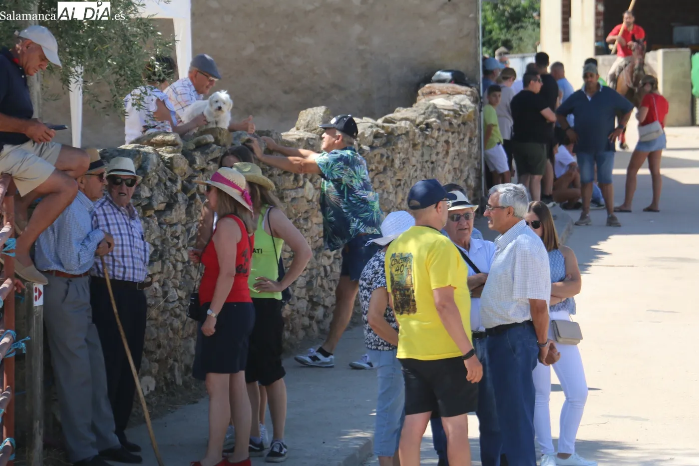Multitudinario primer encierro de las fiestas de Lumbrales / CORRAL