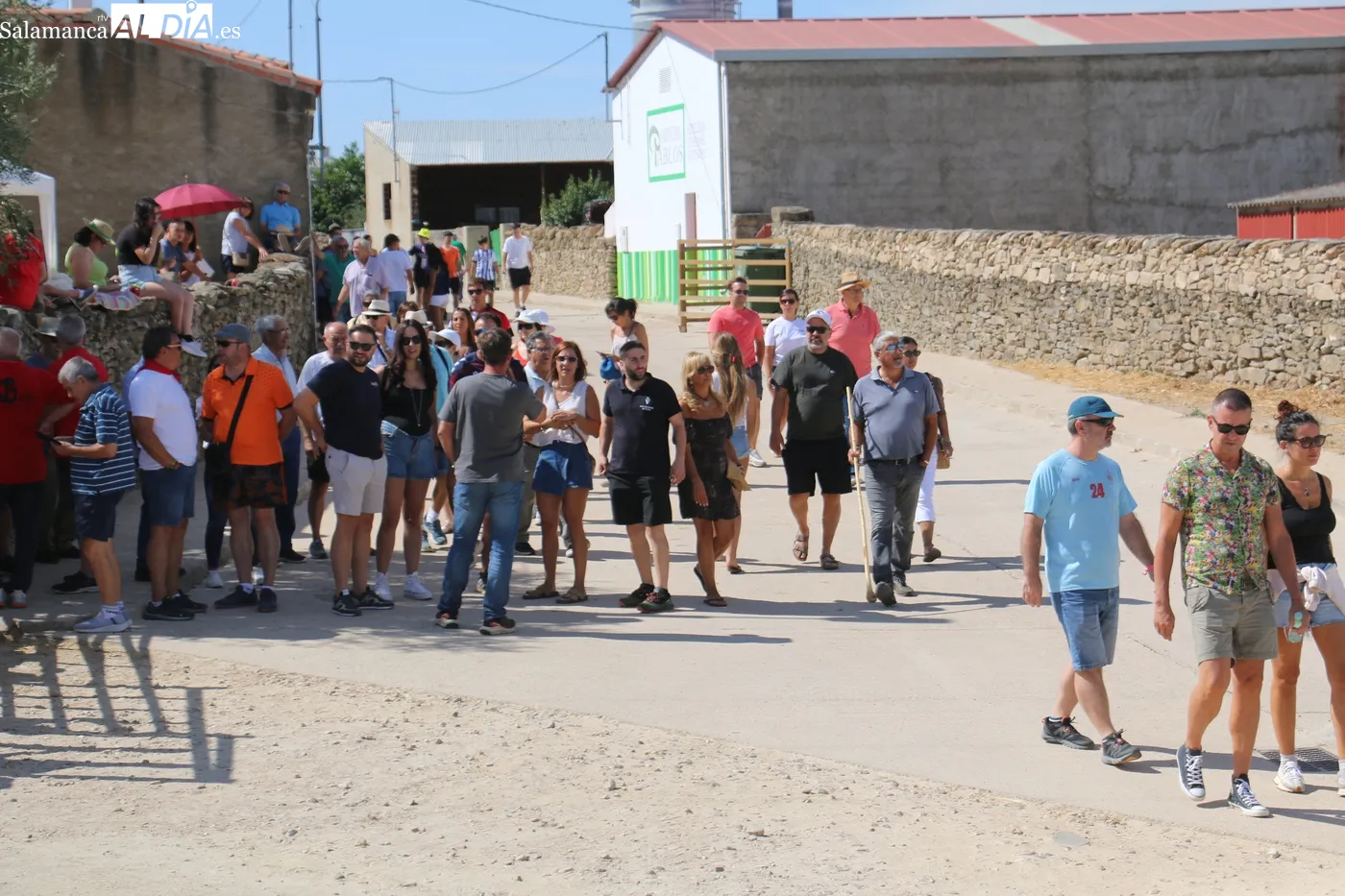 Rápido y emocionante encierro de El Risco en Lumbrales / CORRAL