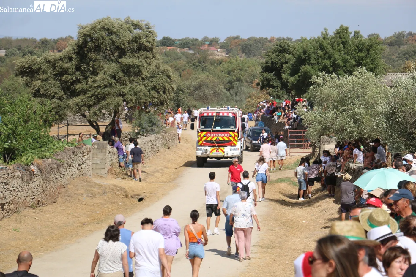 Rápido y emocionante encierro de El Risco en Lumbrales / CORRAL