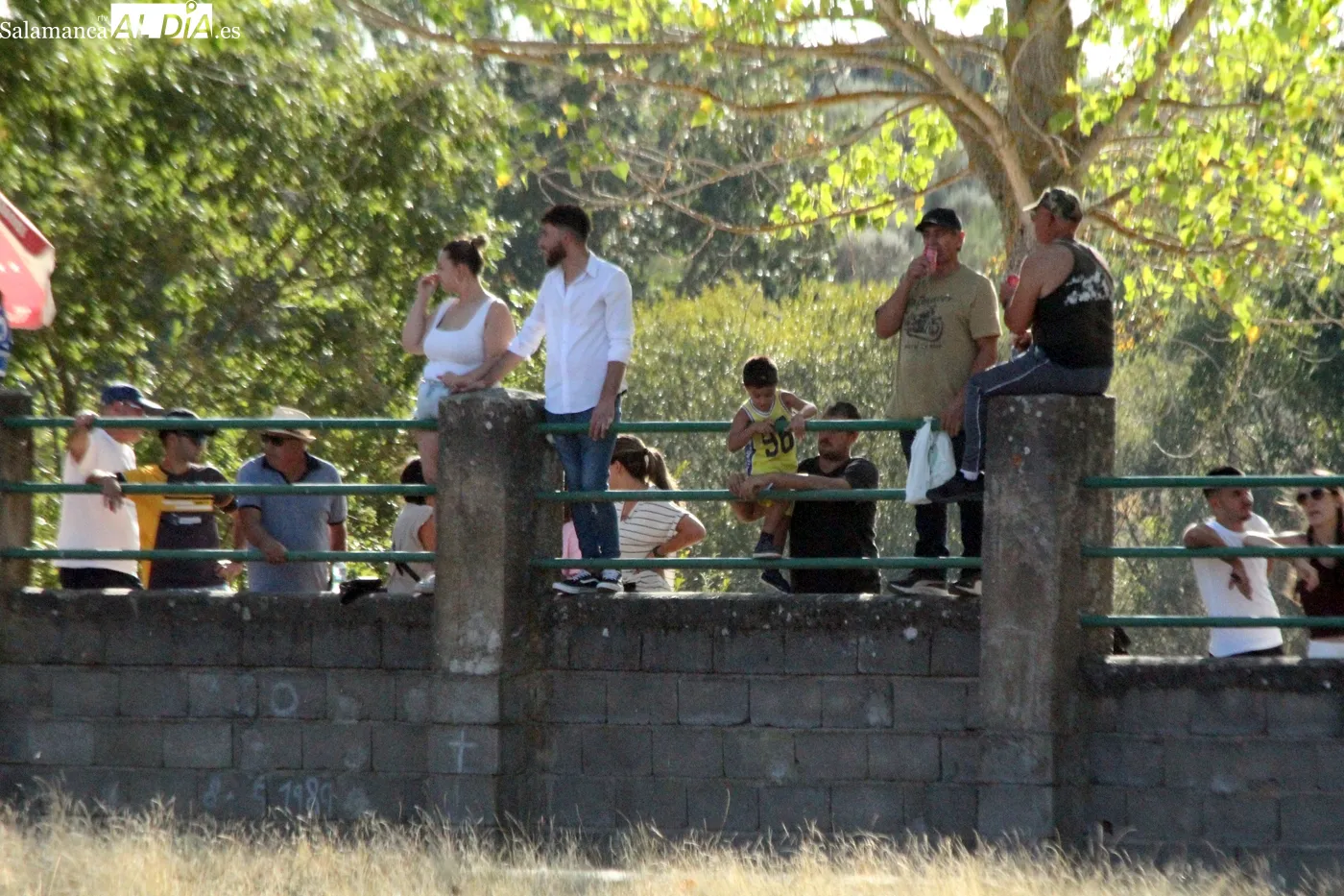 Multitudinario desenjaule en Aldeadávila de la Ribera / CORRAL