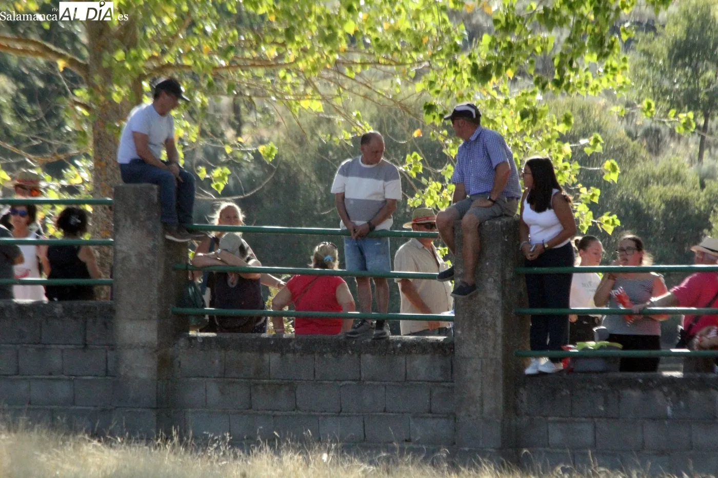 Multitudinario desenjaule en Aldeadávila de la Ribera / CORRAL