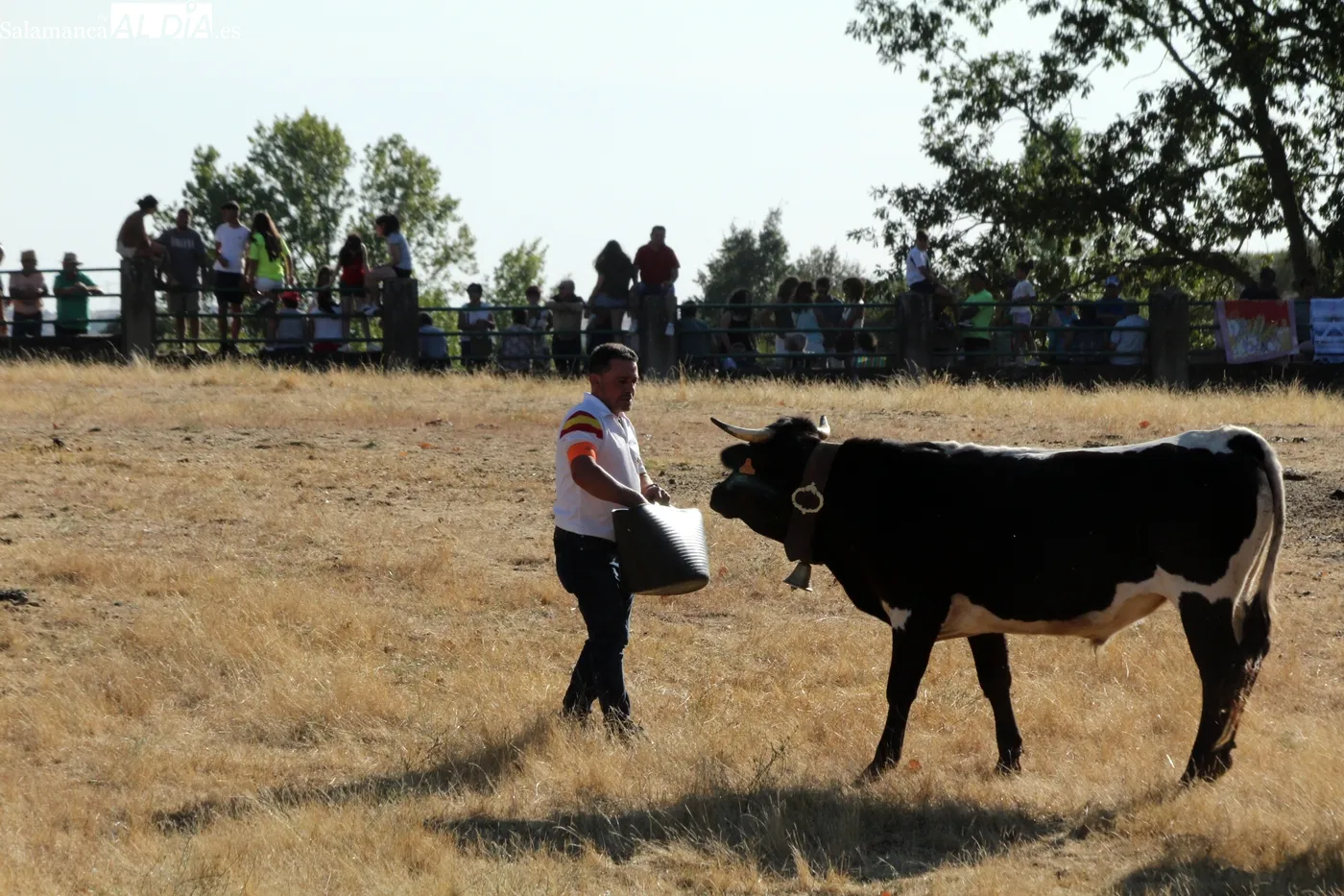 Multitudinario desenjaule en Aldeadávila de la Ribera / CORRAL