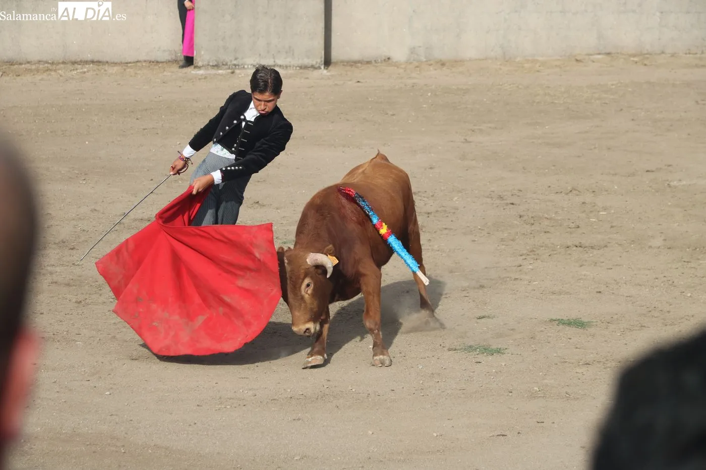 Clase práctica de la Escuela de Tauromaquia de Salamanca en Peralejos de Abajo / ARIAS