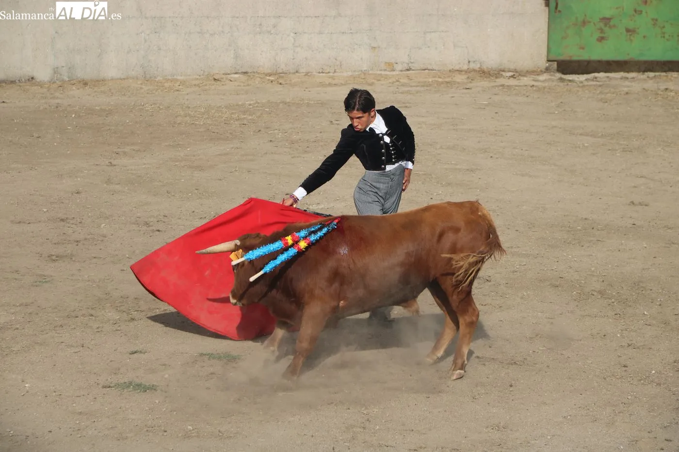 Clase práctica de la Escuela de Tauromaquia de Salamanca en Peralejos de Abajo / ARIAS