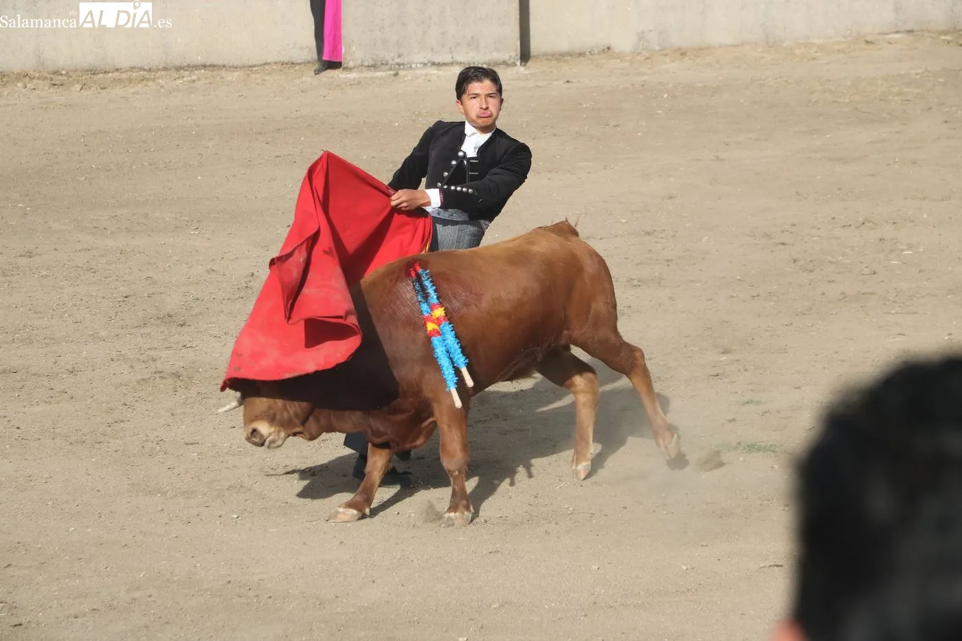 Clase práctica de la Escuela de Tauromaquia de Salamanca en Peralejos de Abajo / ARIAS