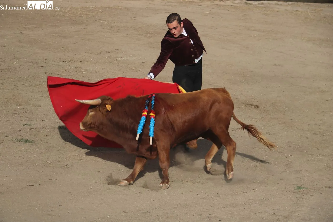 Clase práctica de la Escuela de Tauromaquia de Salamanca en Peralejos de Abajo / ARIAS