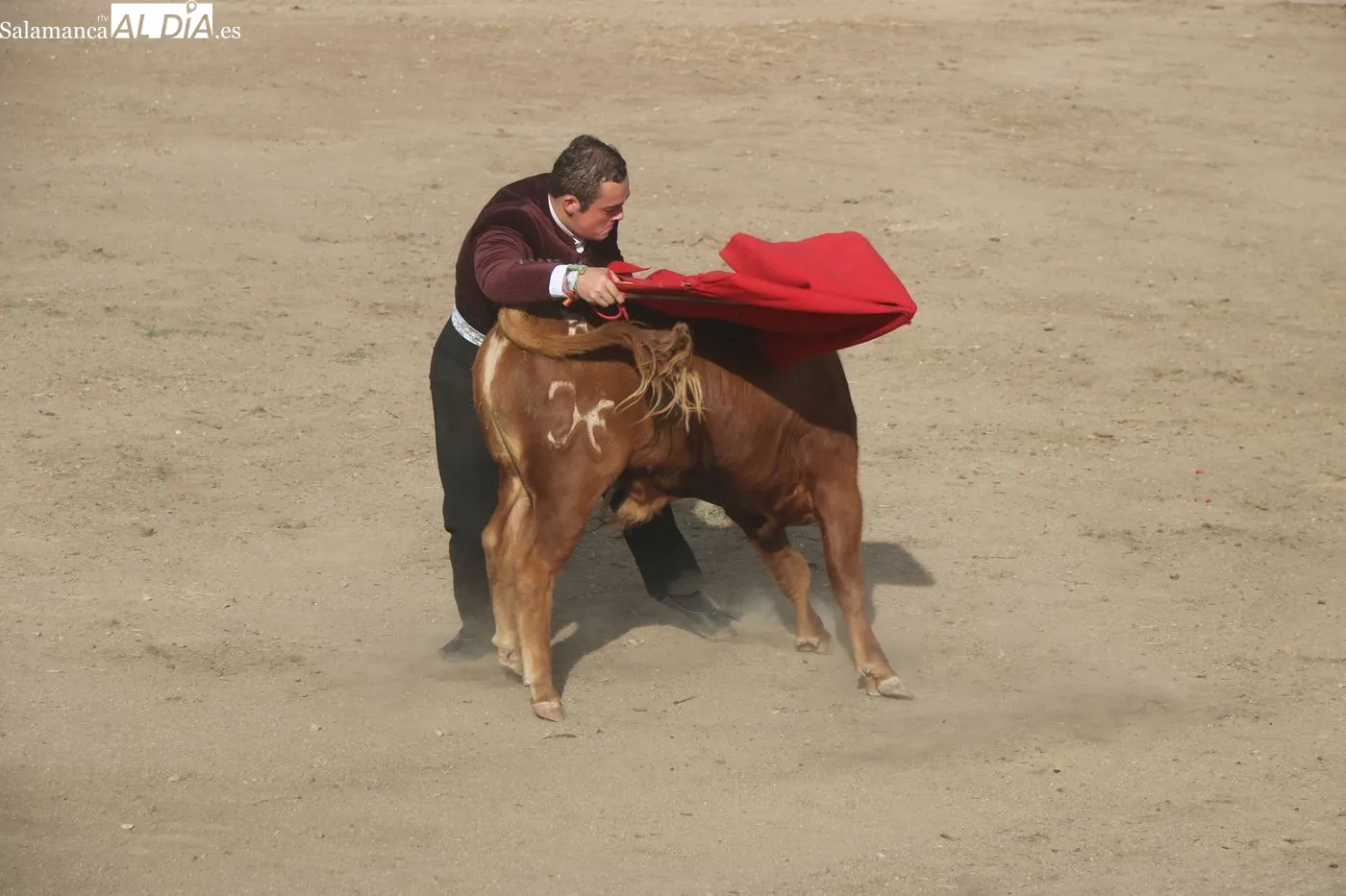 Clase práctica de la Escuela de Tauromaquia de Salamanca en Peralejos de Abajo / ARIAS