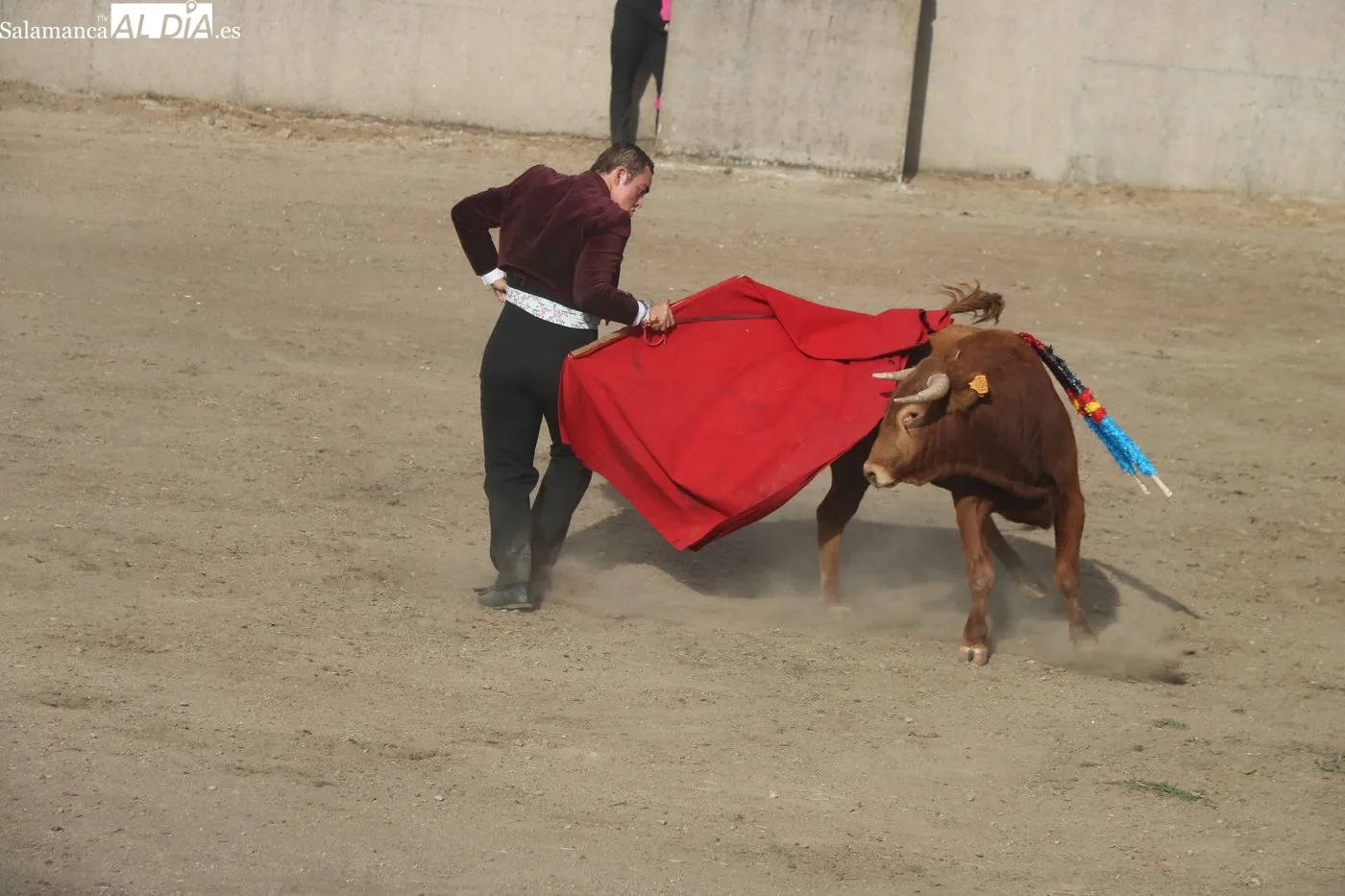 Clase práctica de la Escuela de Tauromaquia de Salamanca en Peralejos de Abajo / ARIAS