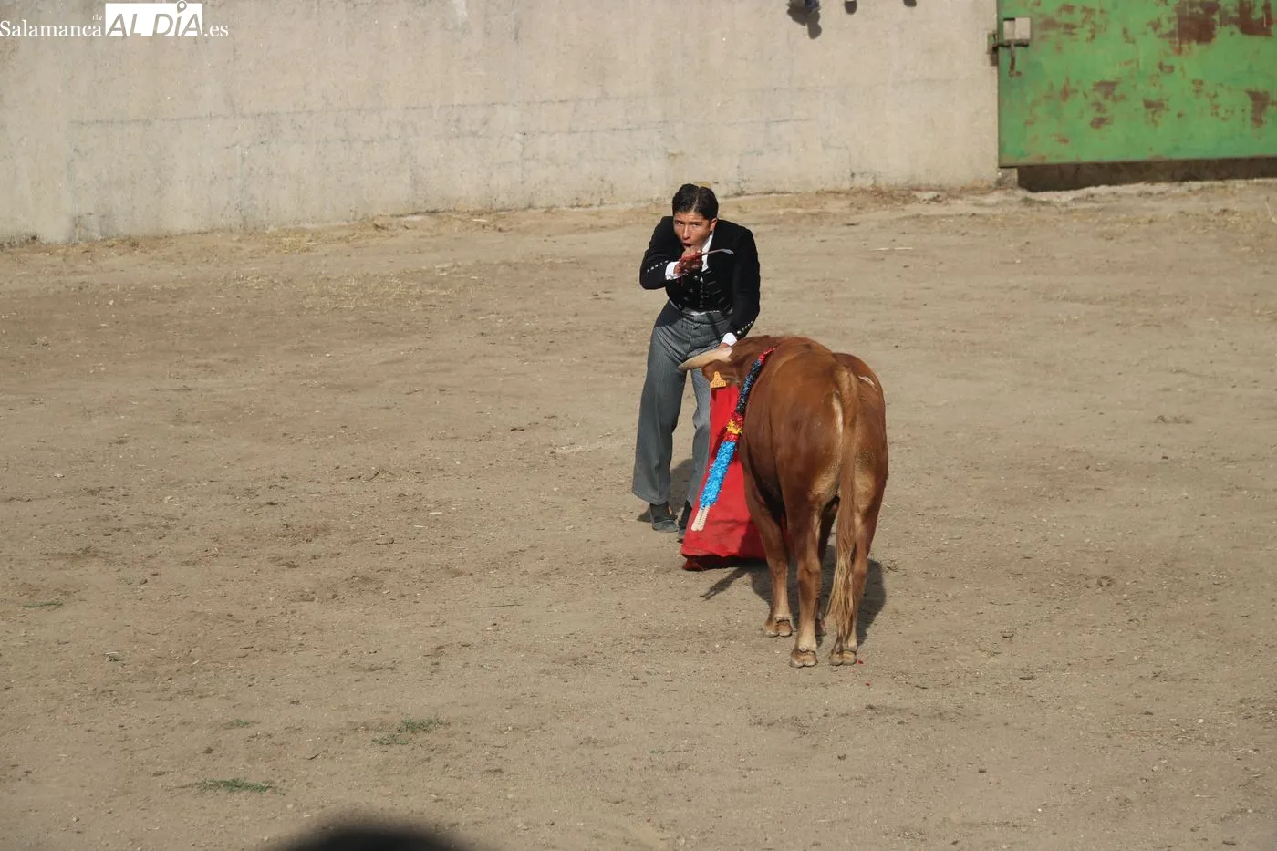Clase práctica de la Escuela de Tauromaquia de Salamanca en Peralejos de Abajo / ARIAS