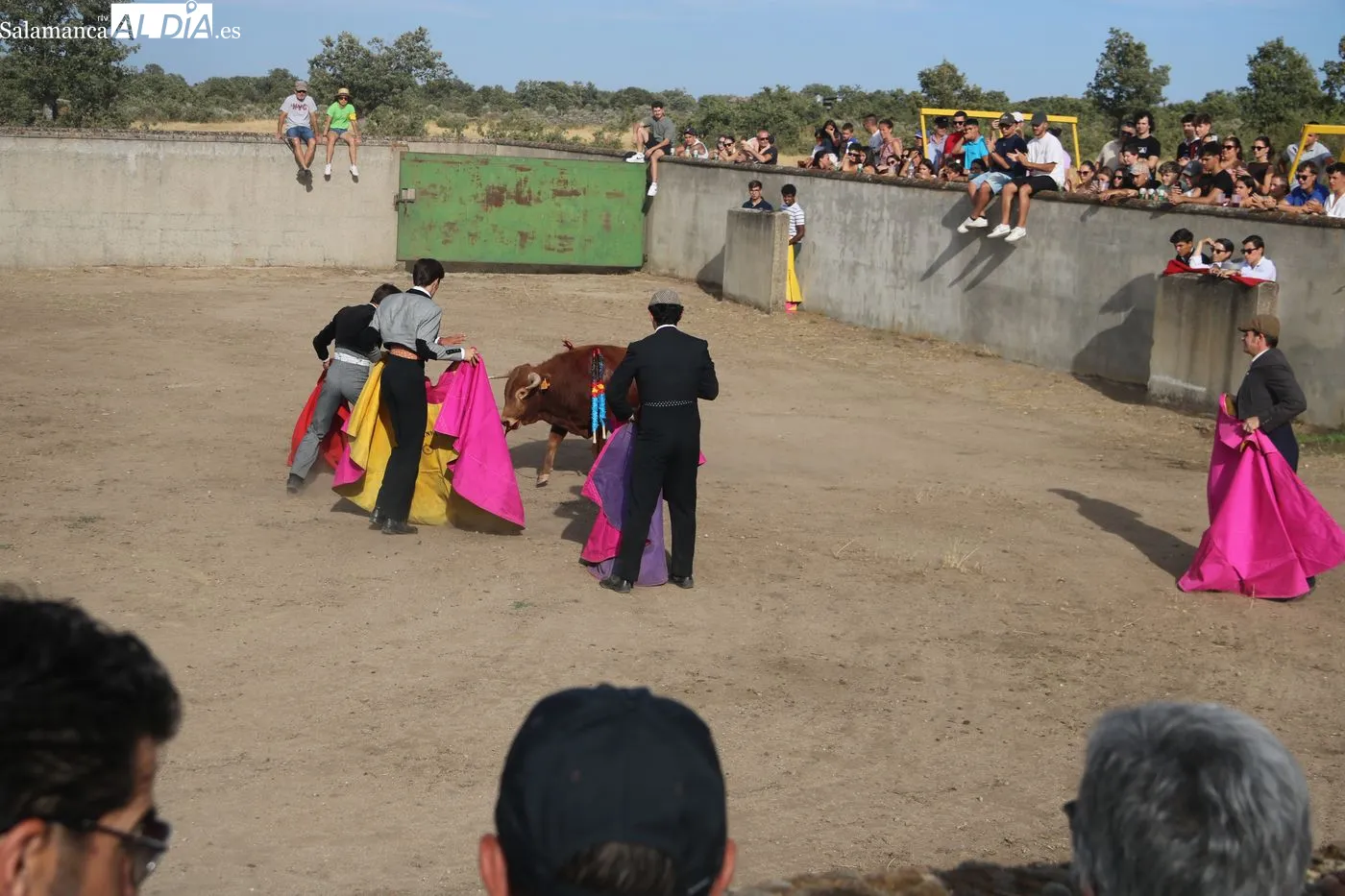 Clase práctica de la Escuela de Tauromaquia de Salamanca en Peralejos de Abajo / ARIAS