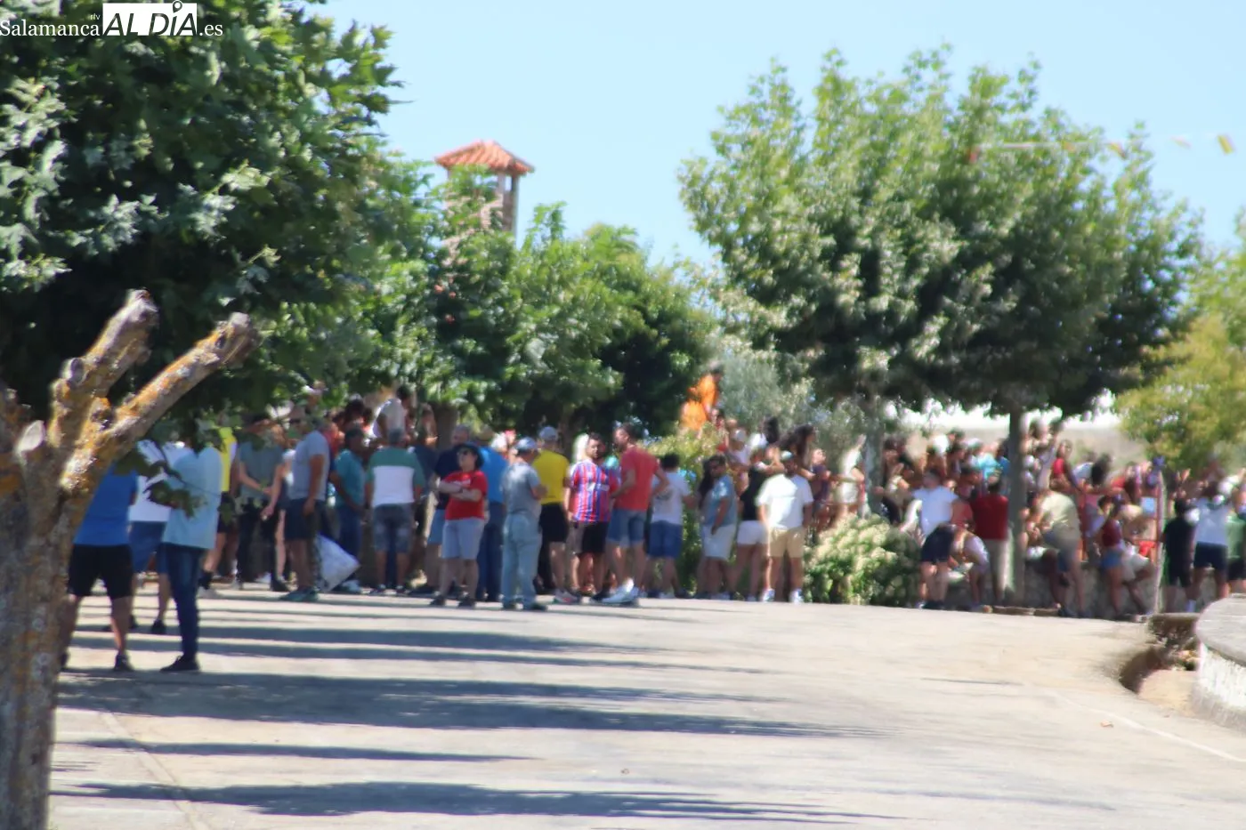 Primer encierro popular de las Fiestas de San Lorenzo en Saucelle / ARIAS
