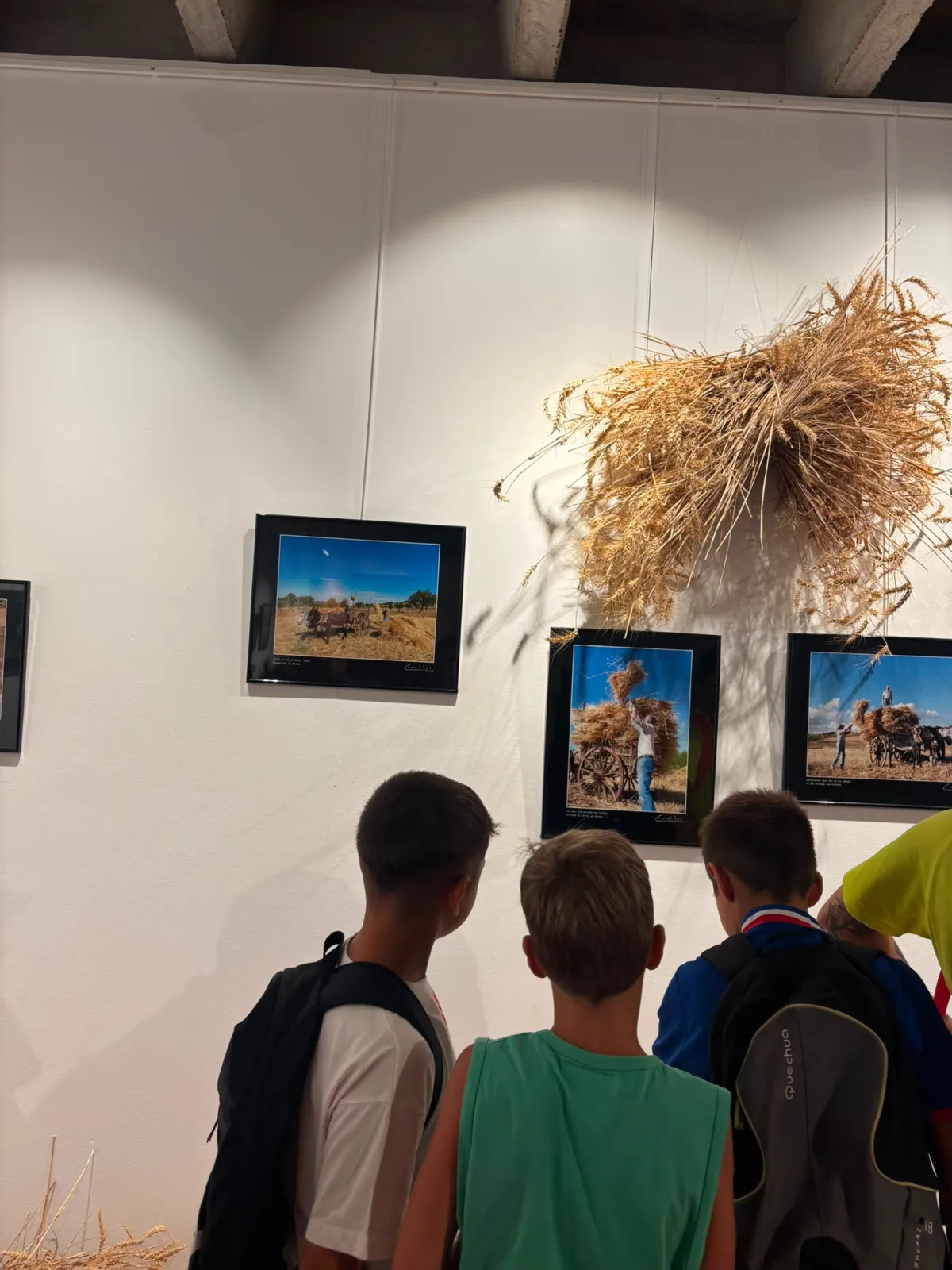 Foto 5 - De la siembra al horno: los ni&ntilde;os del programa Conciliamos conocen labores del campo