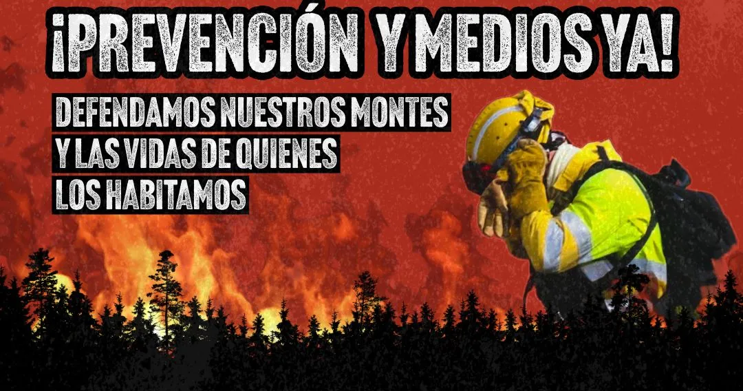 Manifestación en Salamanca por los incendios en CyL
