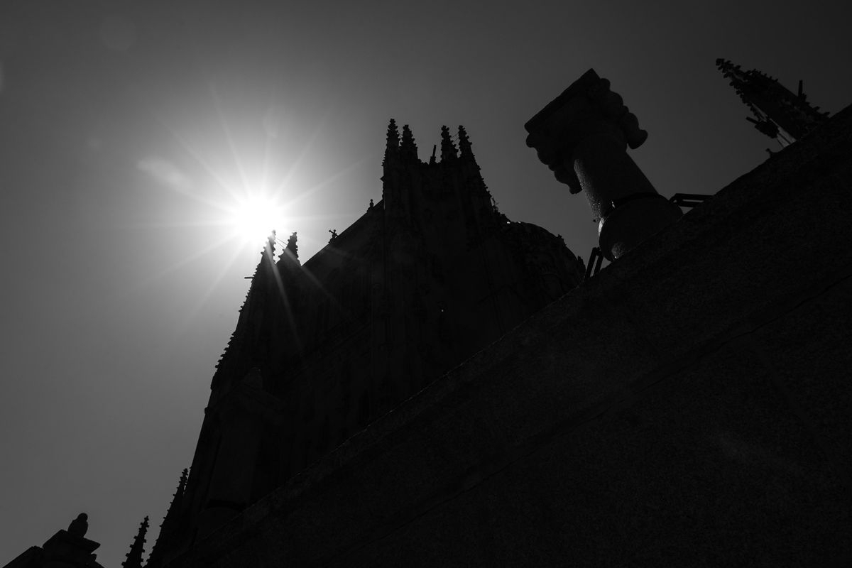 Hacia la luz 