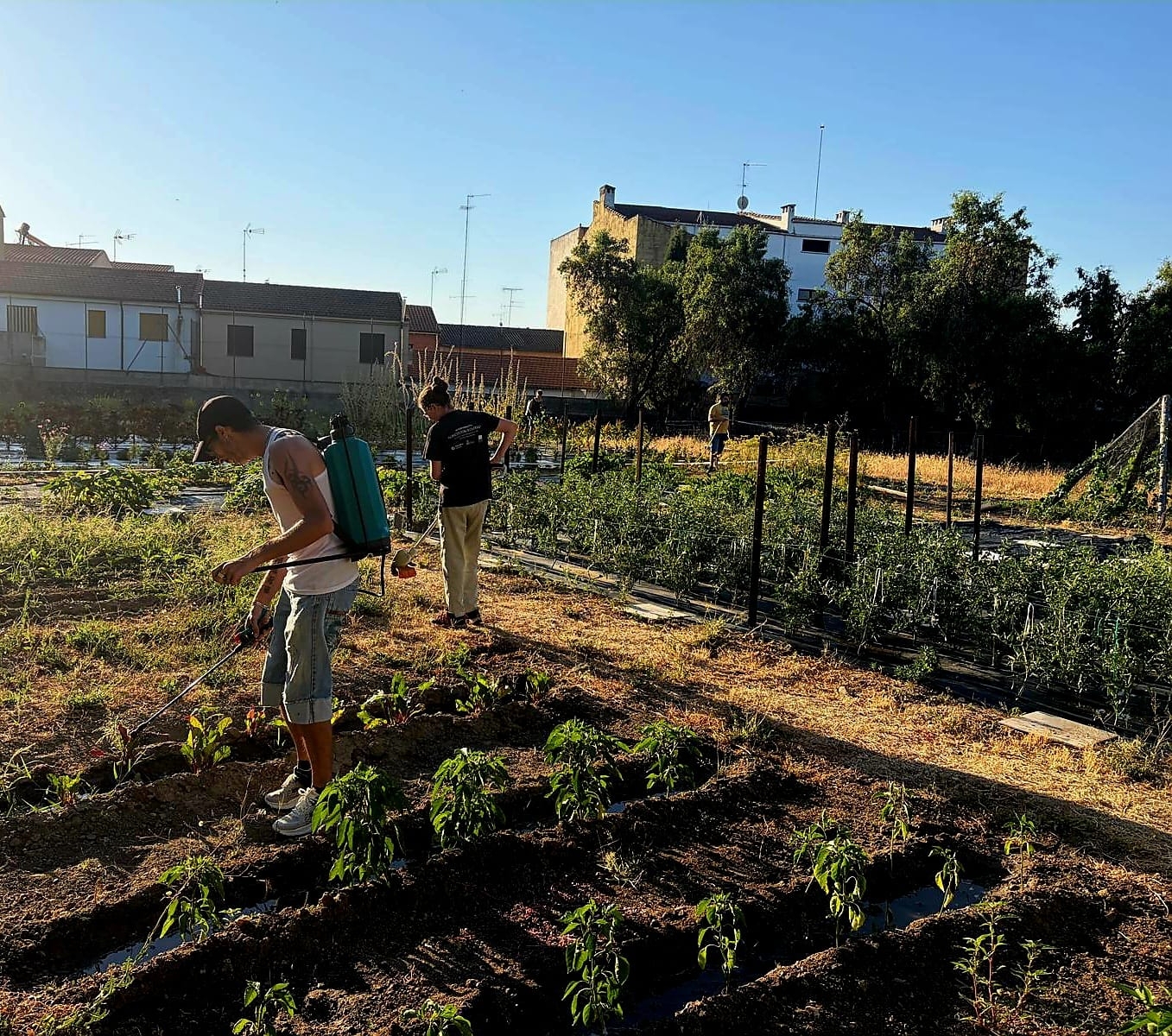 Cáritas impulsa la inserción laboral con su taller de horticultura