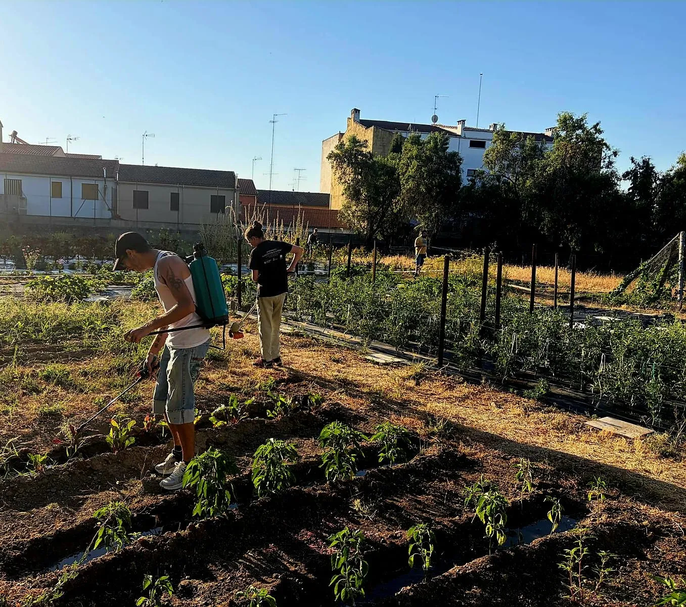 Cáritas impulsa la inserción laboral con su taller de horticultura