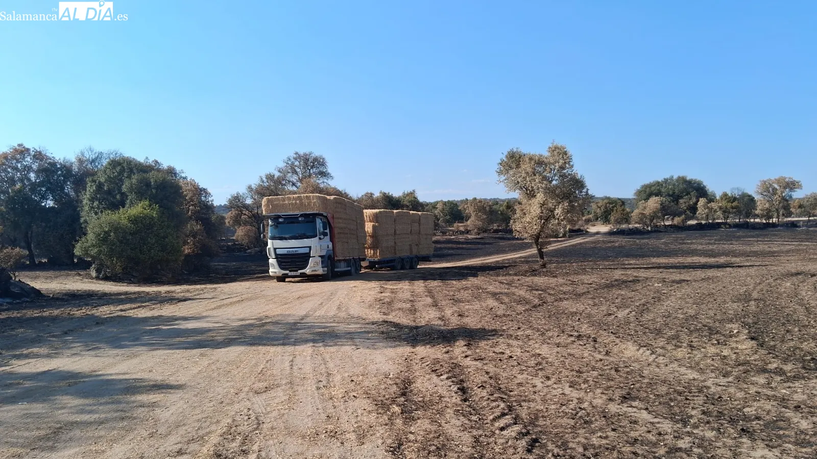 El fuego ha quemado animales y destruido maquinaria e instalaciones ganaderas en las Arribes zamoranas 