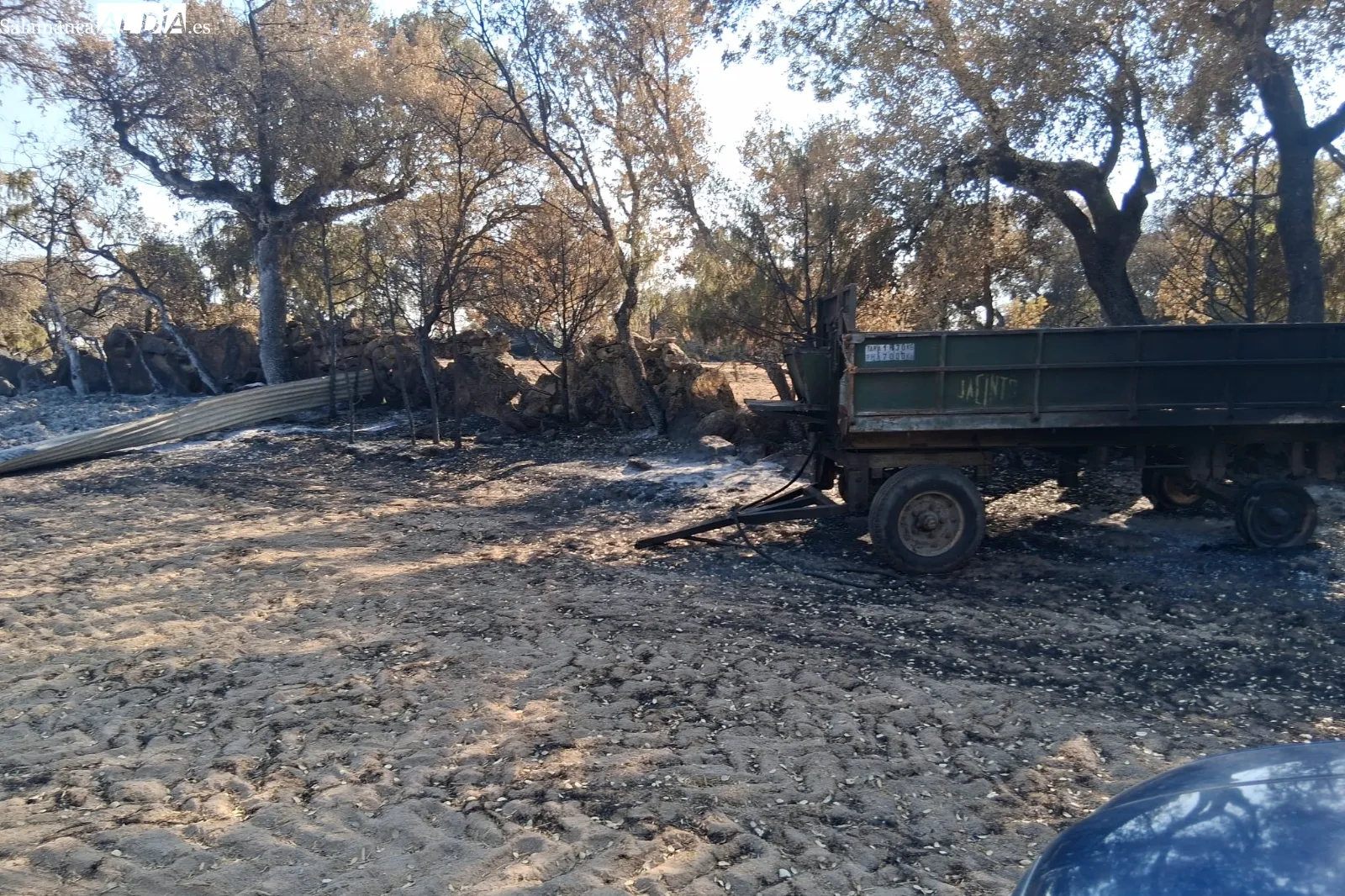 El fuego ha quemado animales y destruido maquinaria e instalaciones ganaderas en las Arribes zamoranas 