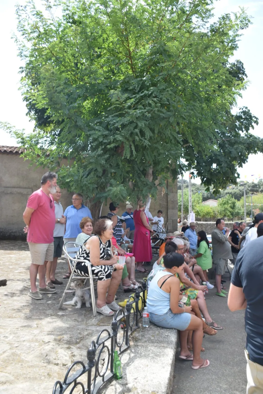 La Bouza degustación de queso artesano 