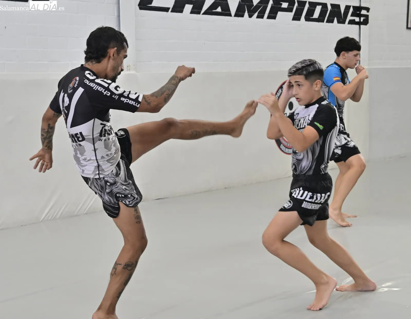Galería de imágenes / Fotos: SALAMANCArtv AL DÍA