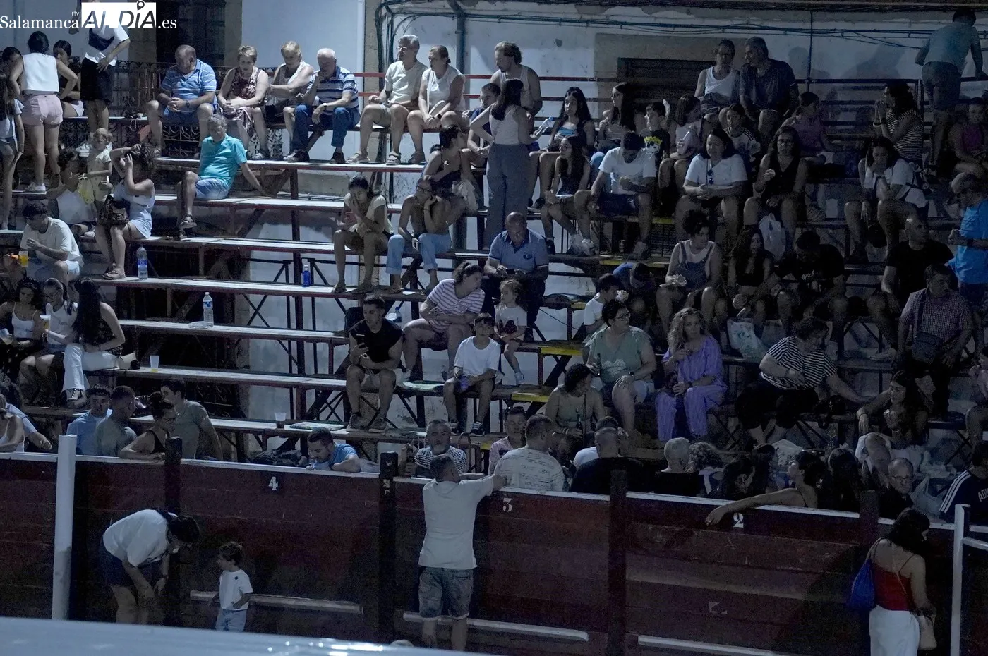 Toros de Cajón en Lumbrales / REP. GRÁFICO: LUIS MIGUEL CONDE